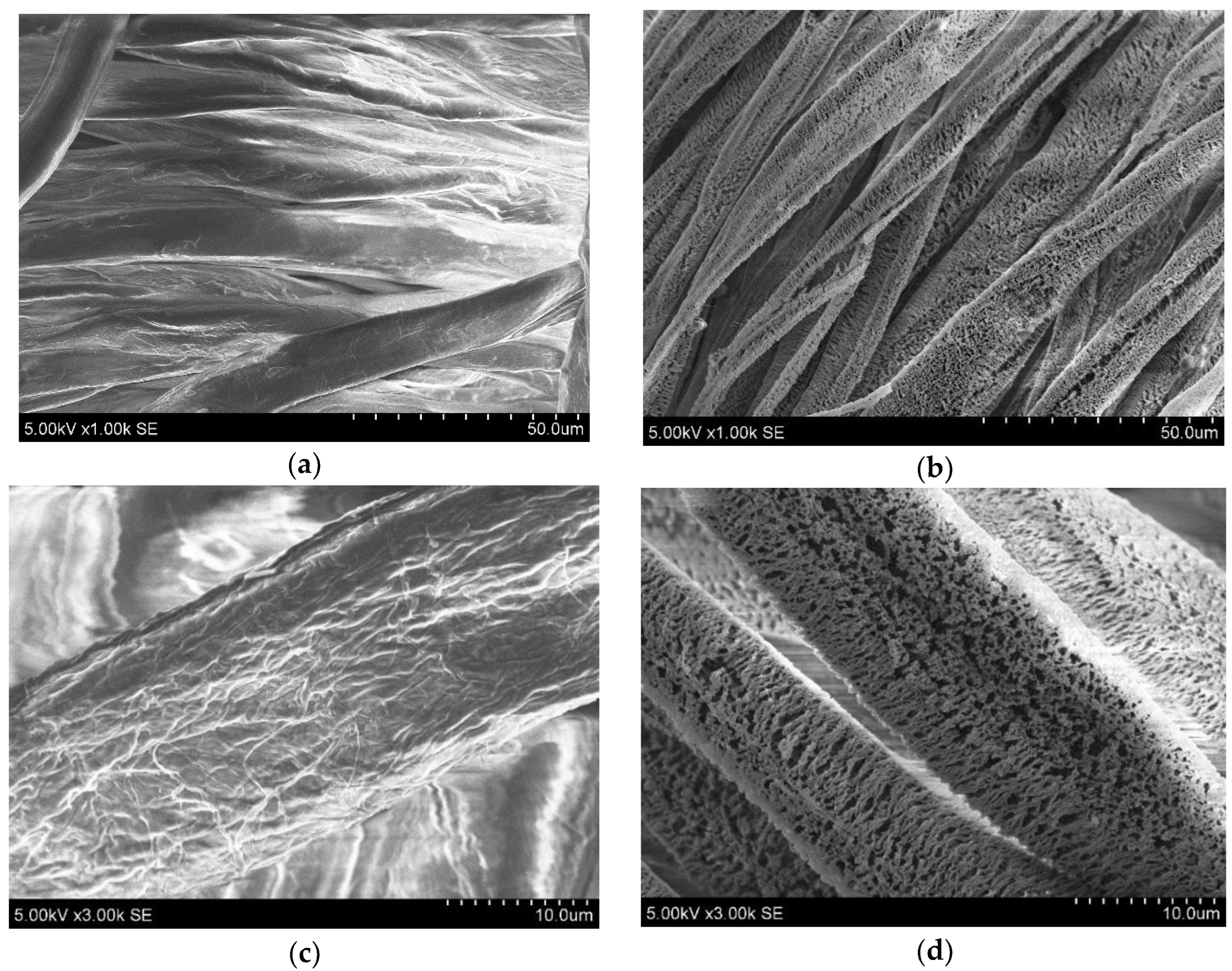 Nanomaterials 14 01264 g001