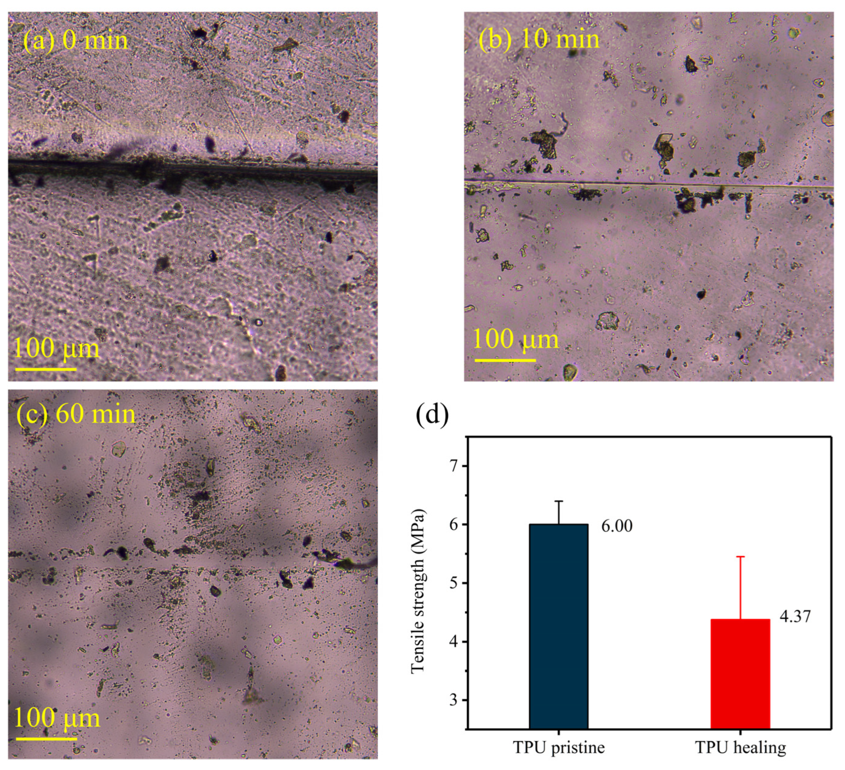 Nanomaterials 14 01269 g004
