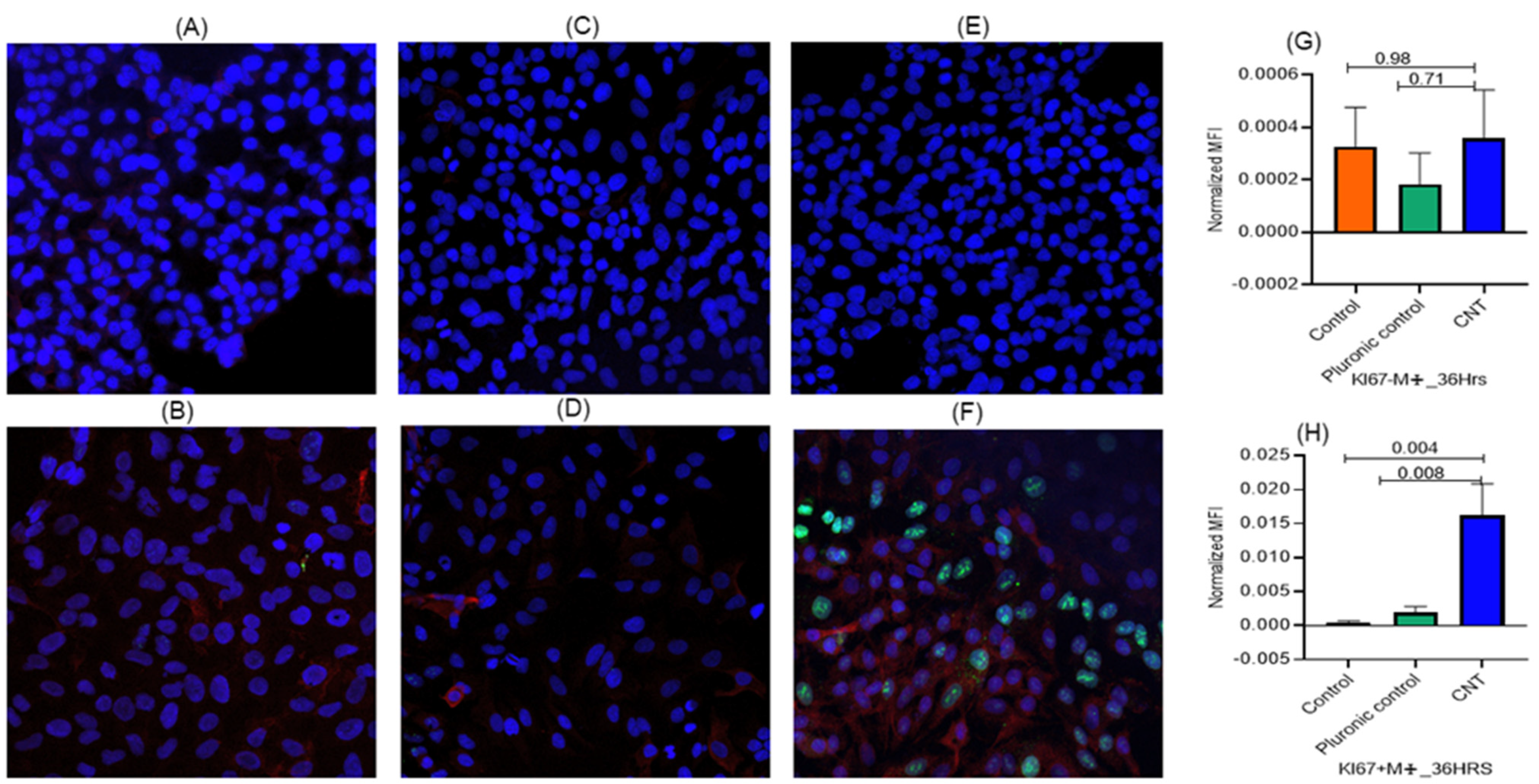 Nanomaterials 14 01273 g005