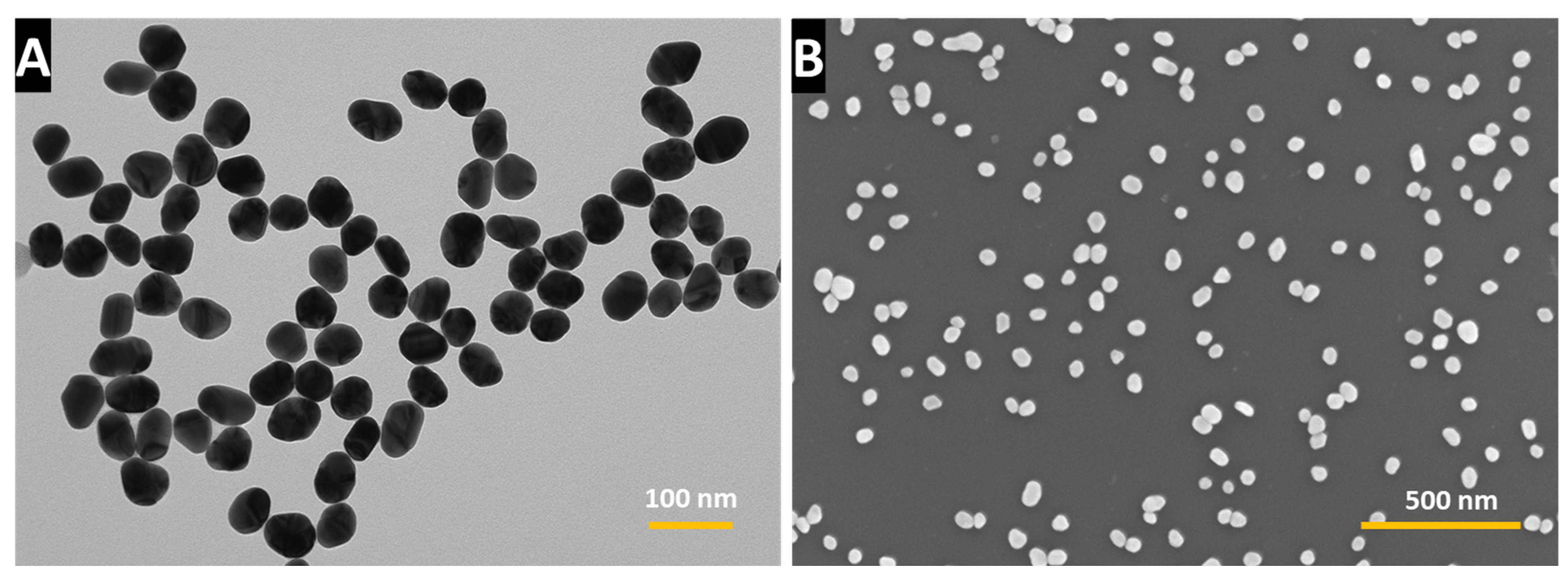 Nanomaterials 14 01275 g001 Nanomaterials 14 01275 g001