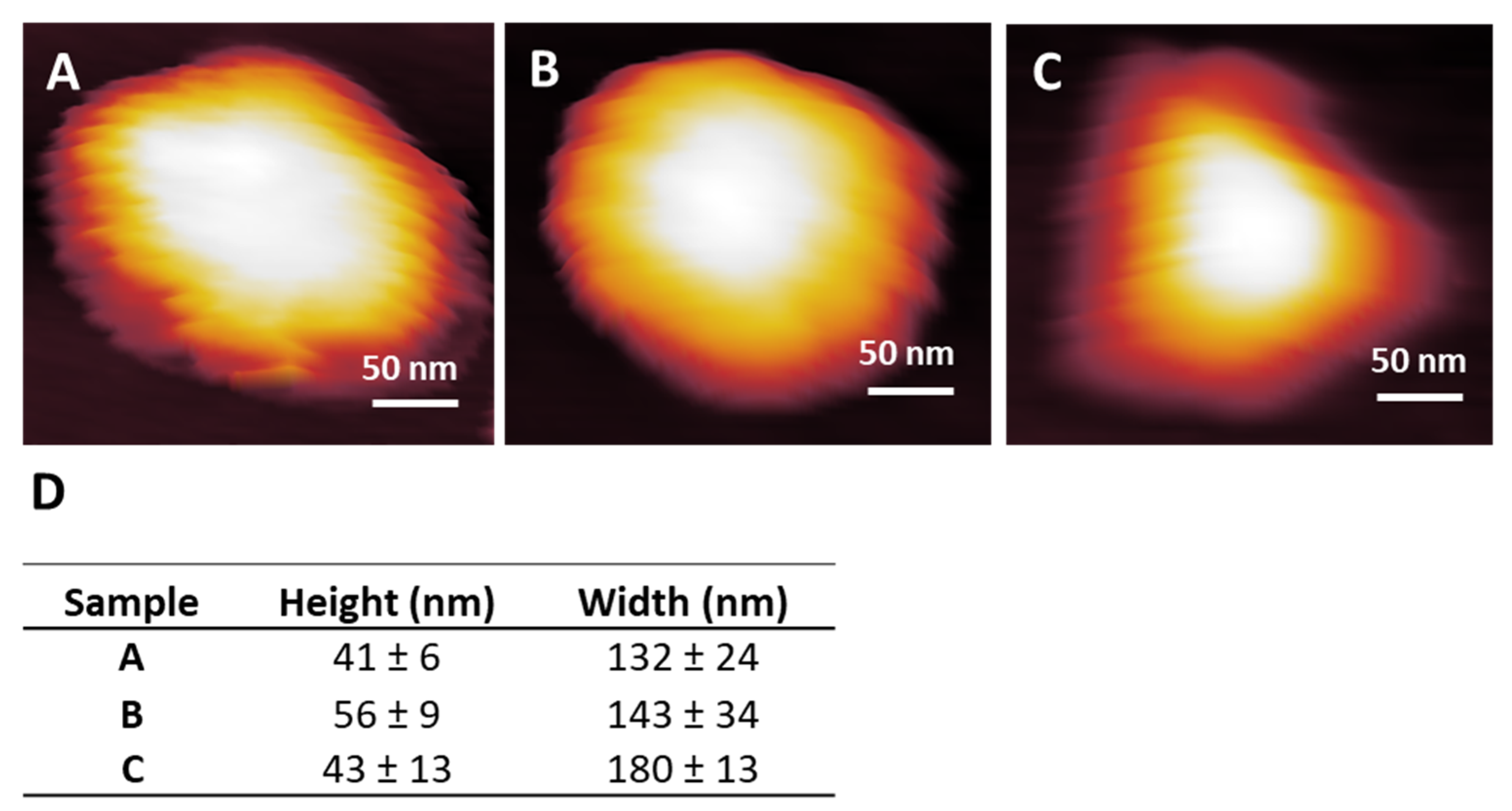 Nanomaterials 14 01275 g005 Nanomaterials 14 01275 g005