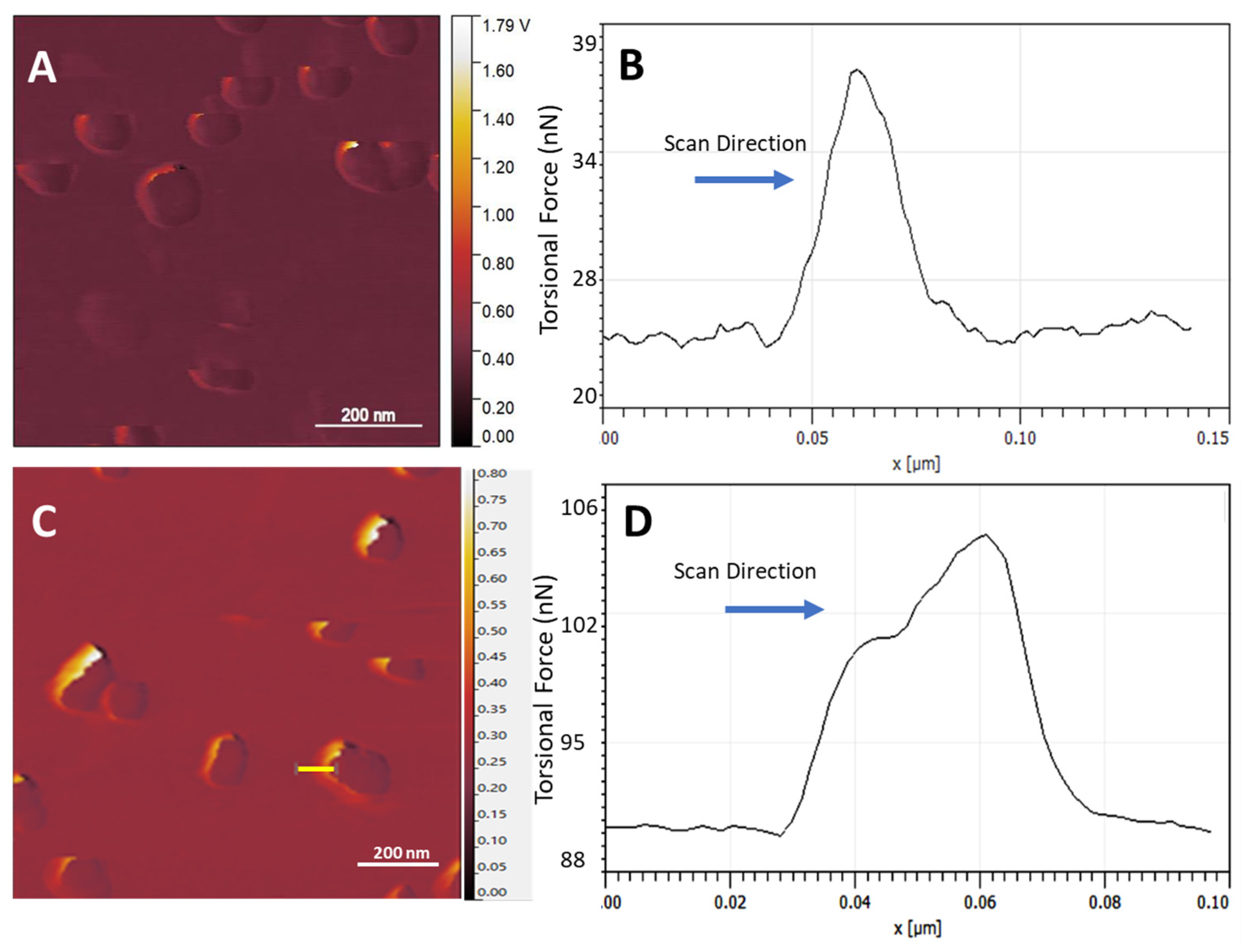 Nanomaterials 14 01275 g007 Nanomaterials 14 01275 g007
