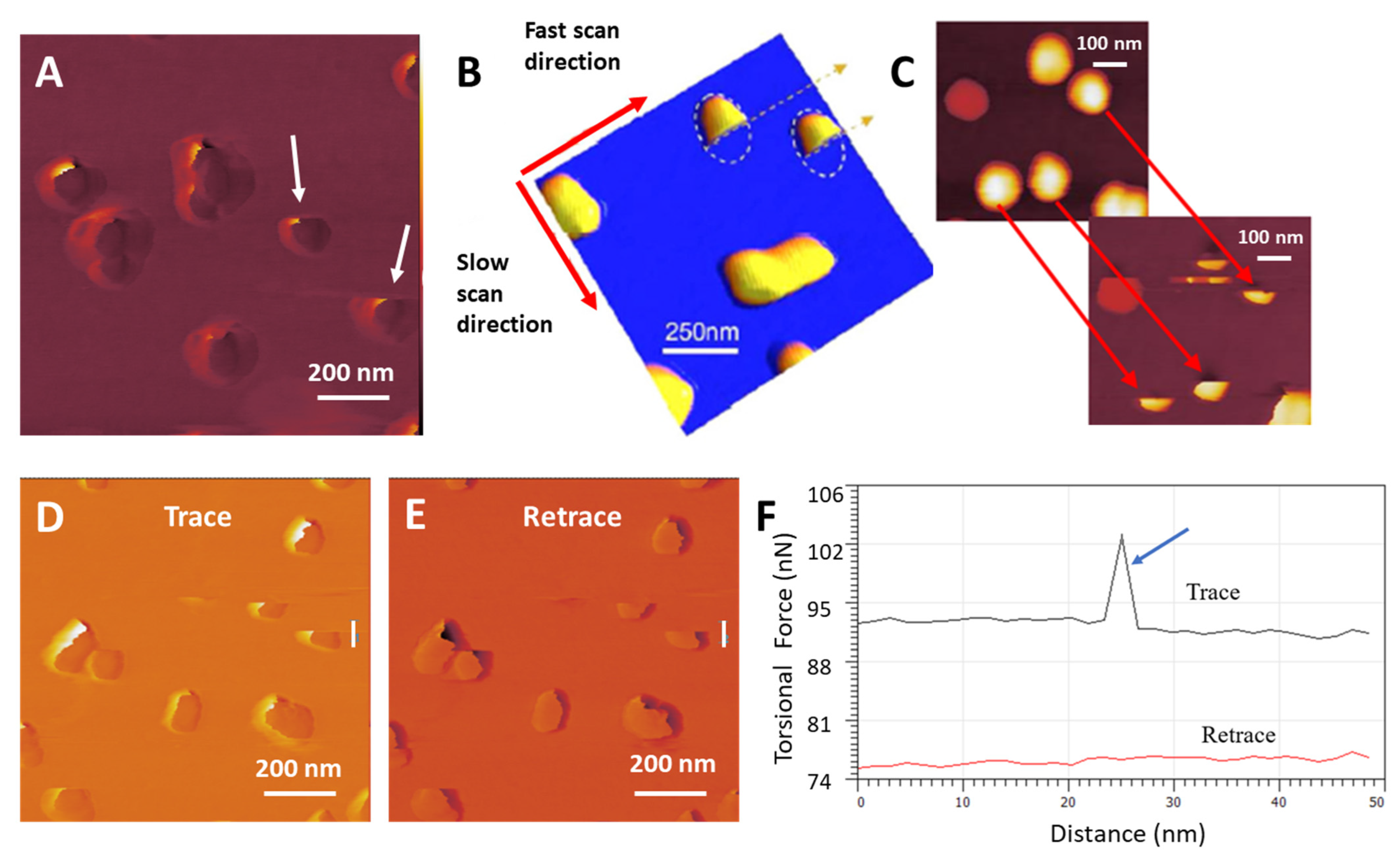 Nanomaterials 14 01275 g009 Nanomaterials 14 01275 g009