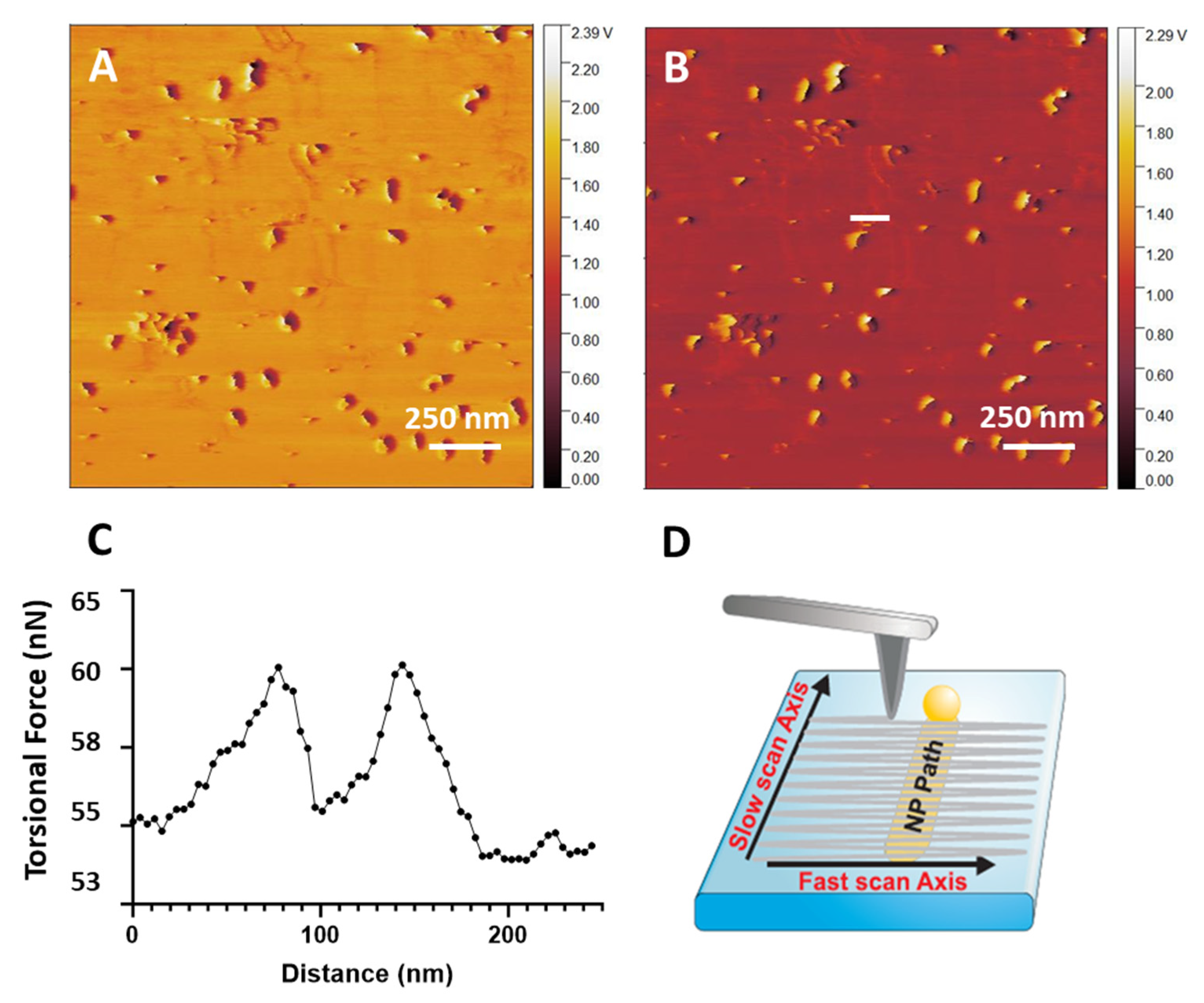 Nanomaterials 14 01275 g010 Nanomaterials 14 01275 g010