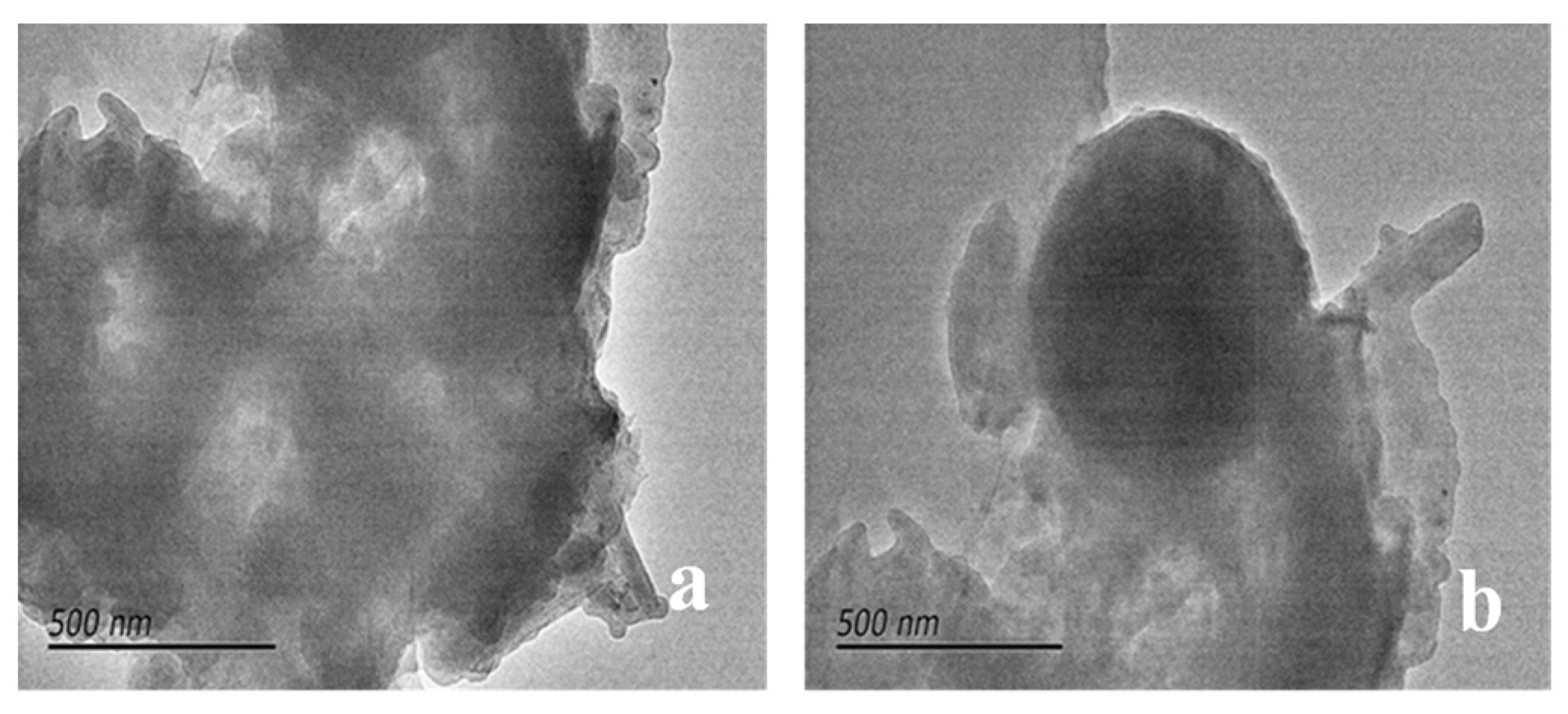 Nanomaterials 14 01280 g008