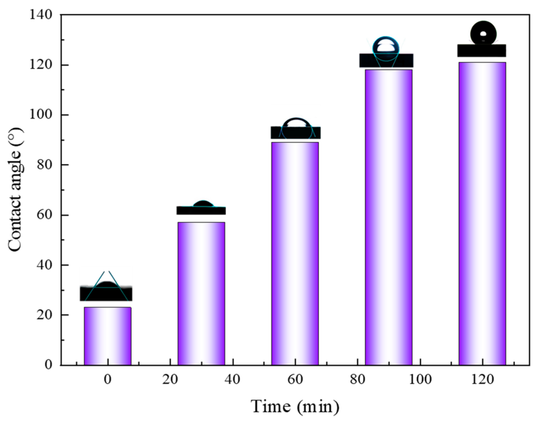 Nanomaterials 14 01280 g017