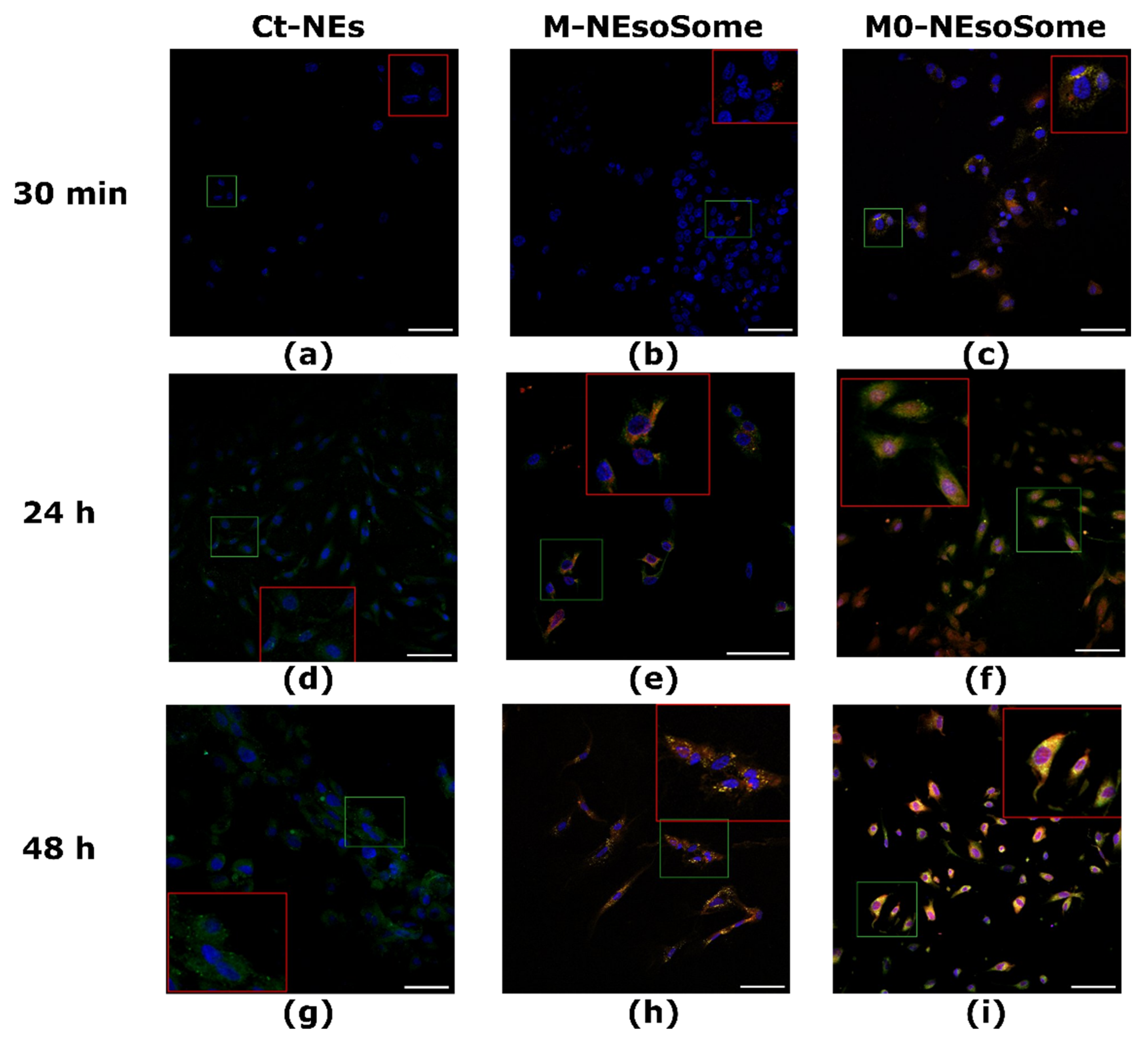 Nanomaterials 14 01286 g007