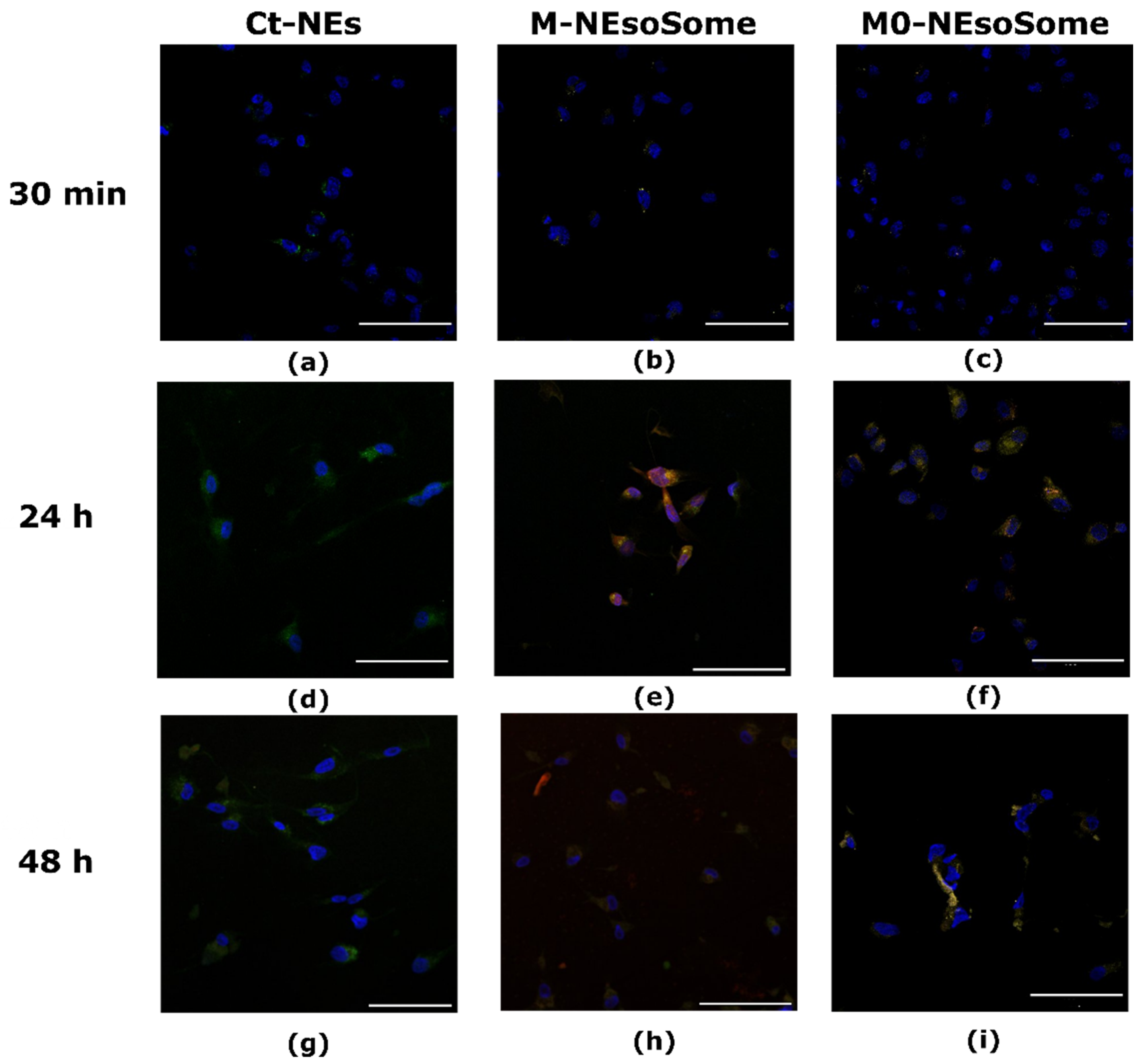 Nanomaterials 14 01286 g008