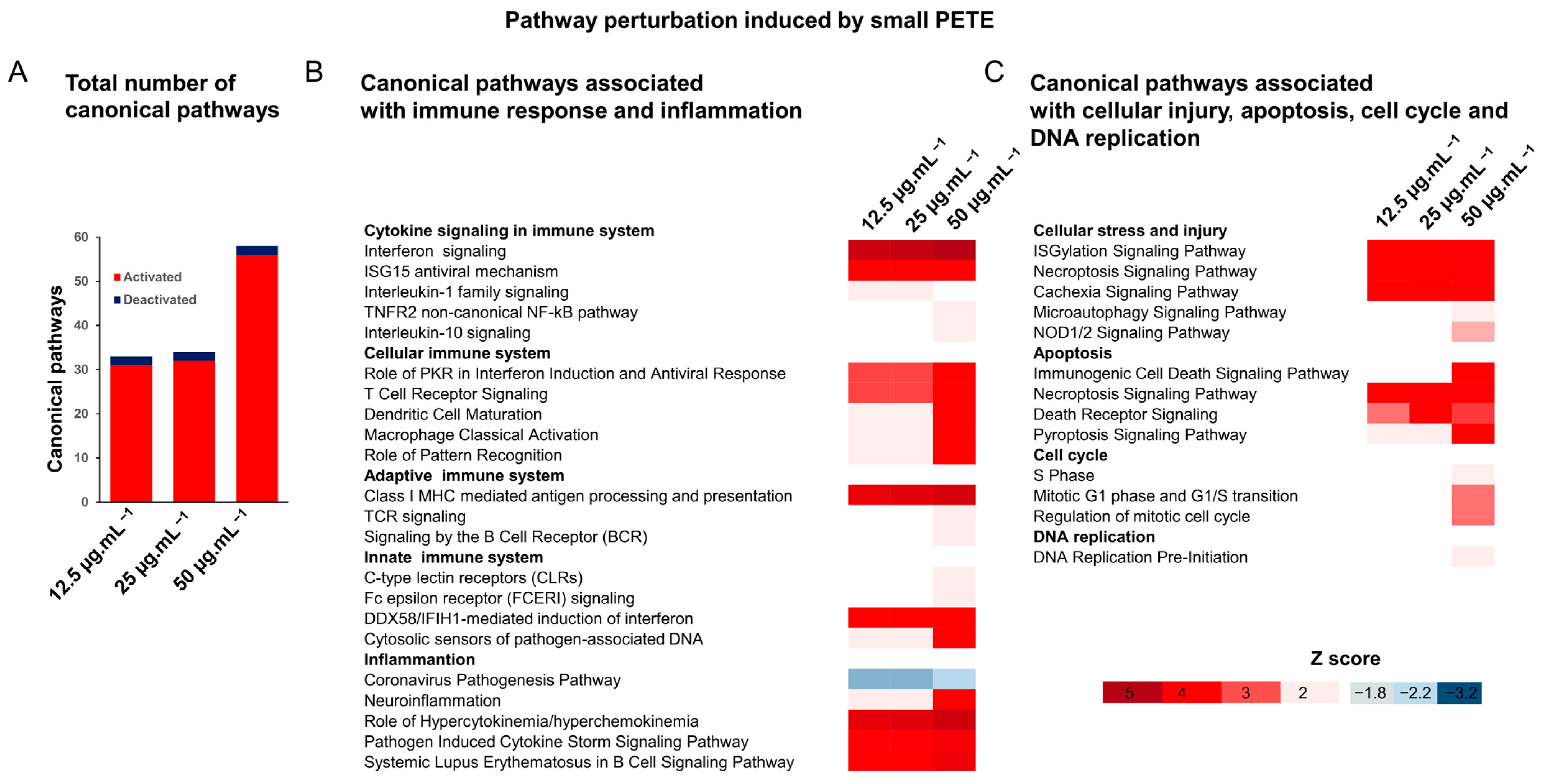Nanomaterials 14 01287 g010
