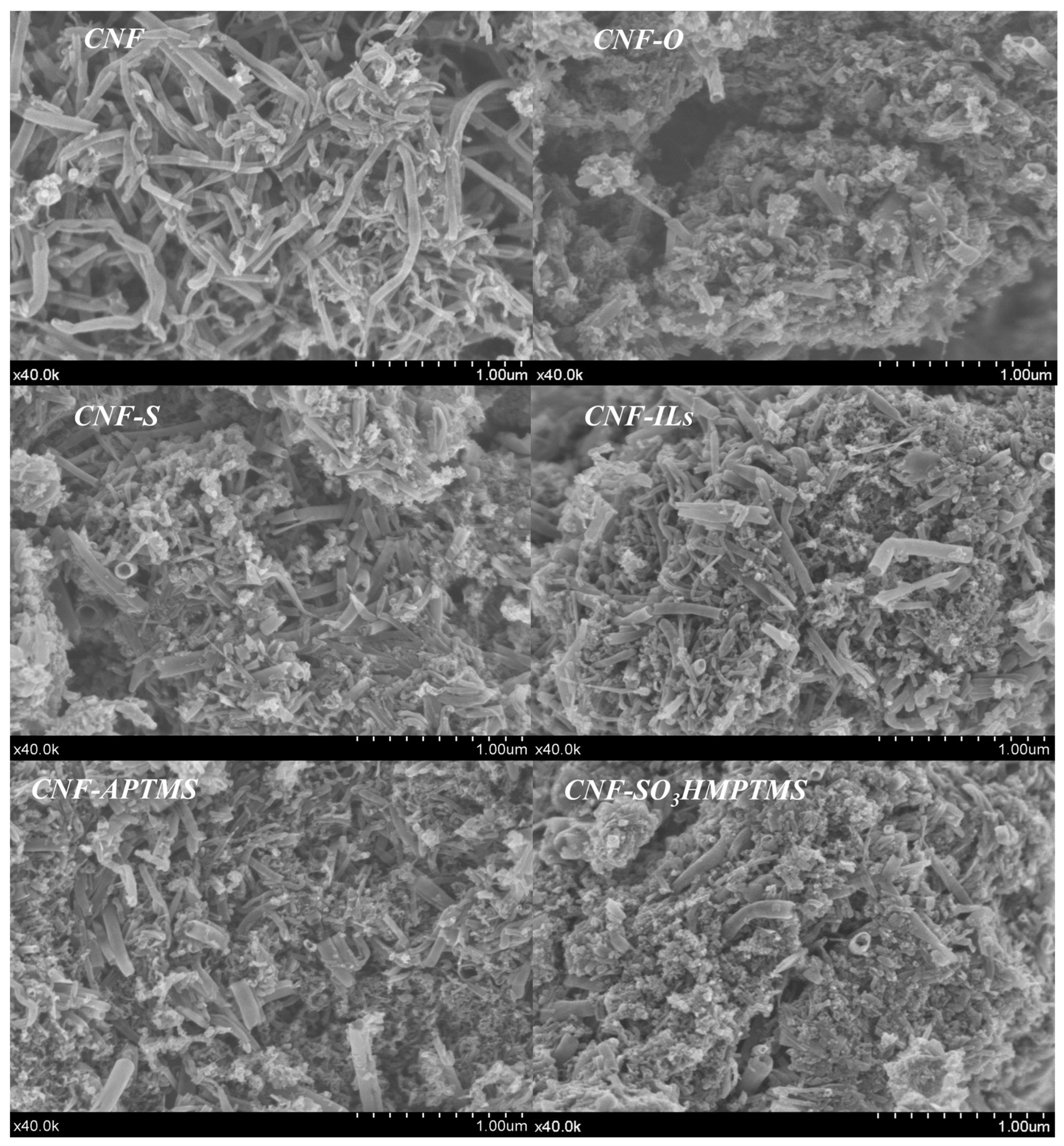 Nanomaterials 14 01293 g003