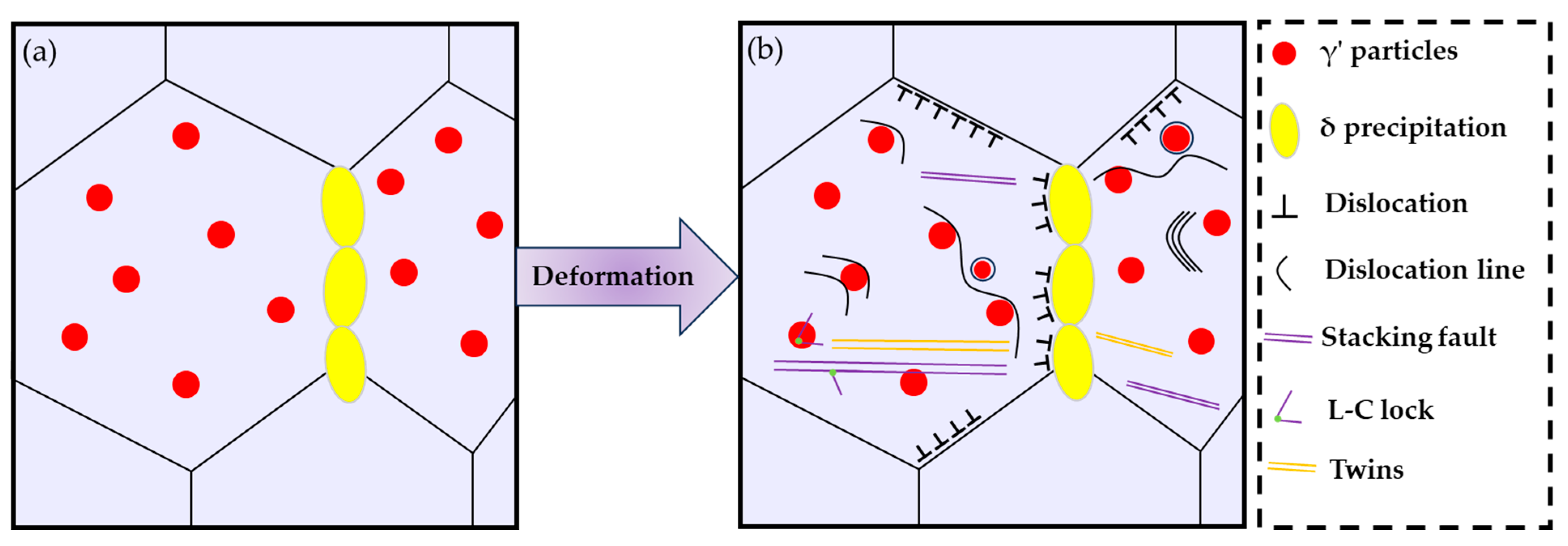 Nanomaterials 14 01296 g011