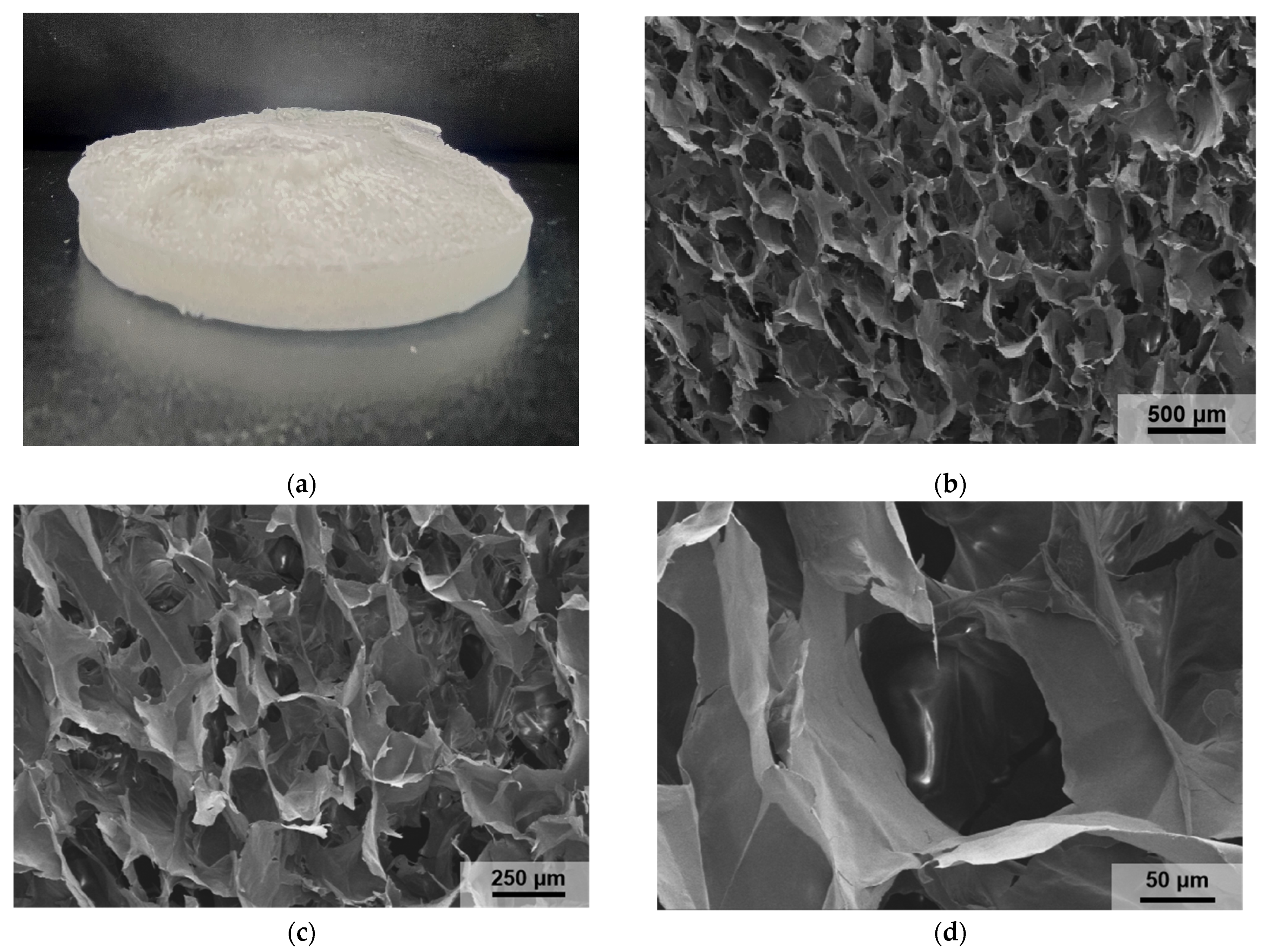 Nanomaterials 14 01297 g004