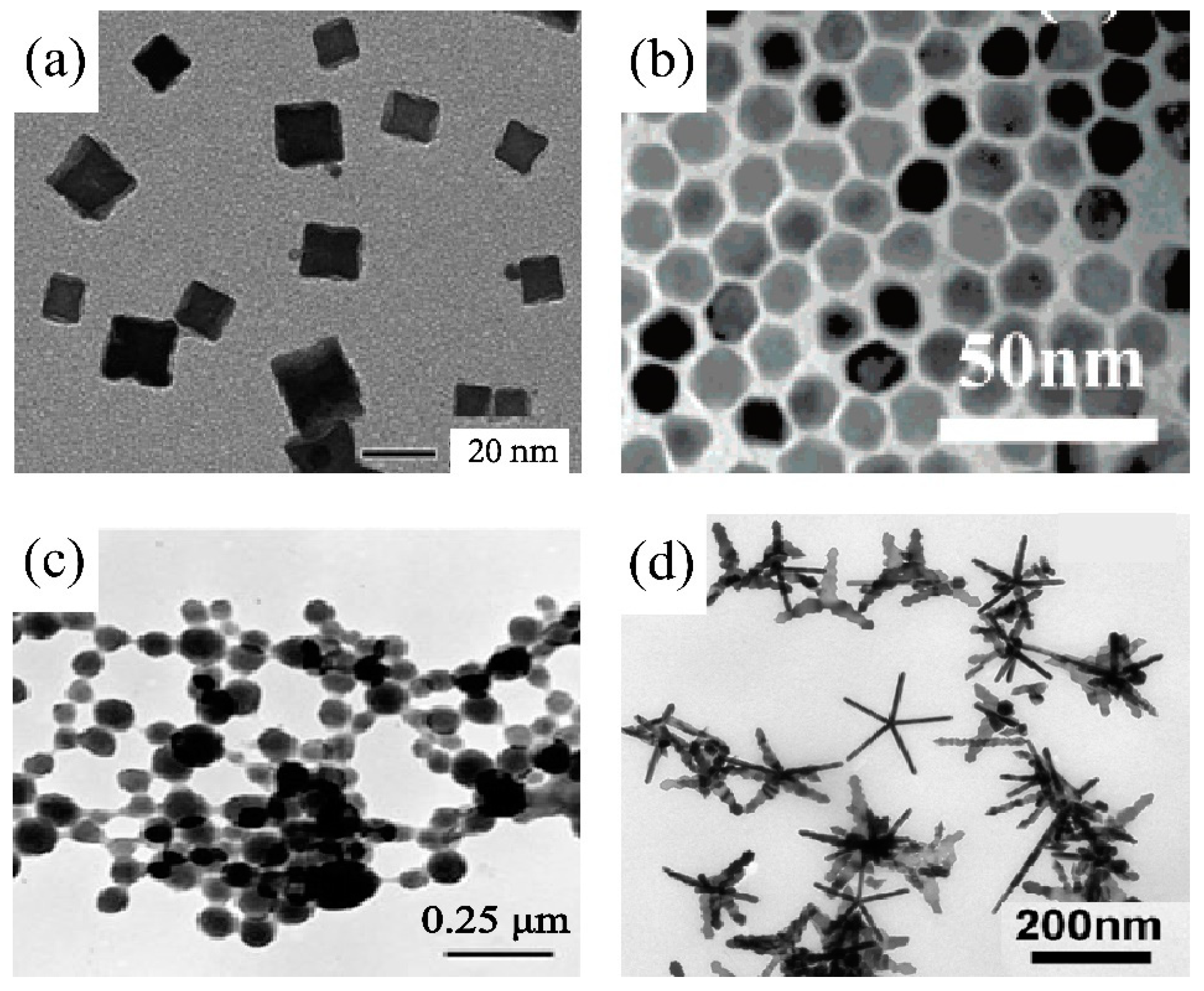 Nanomaterials 14 01303 g003 Nanomaterials 14 01303 g003