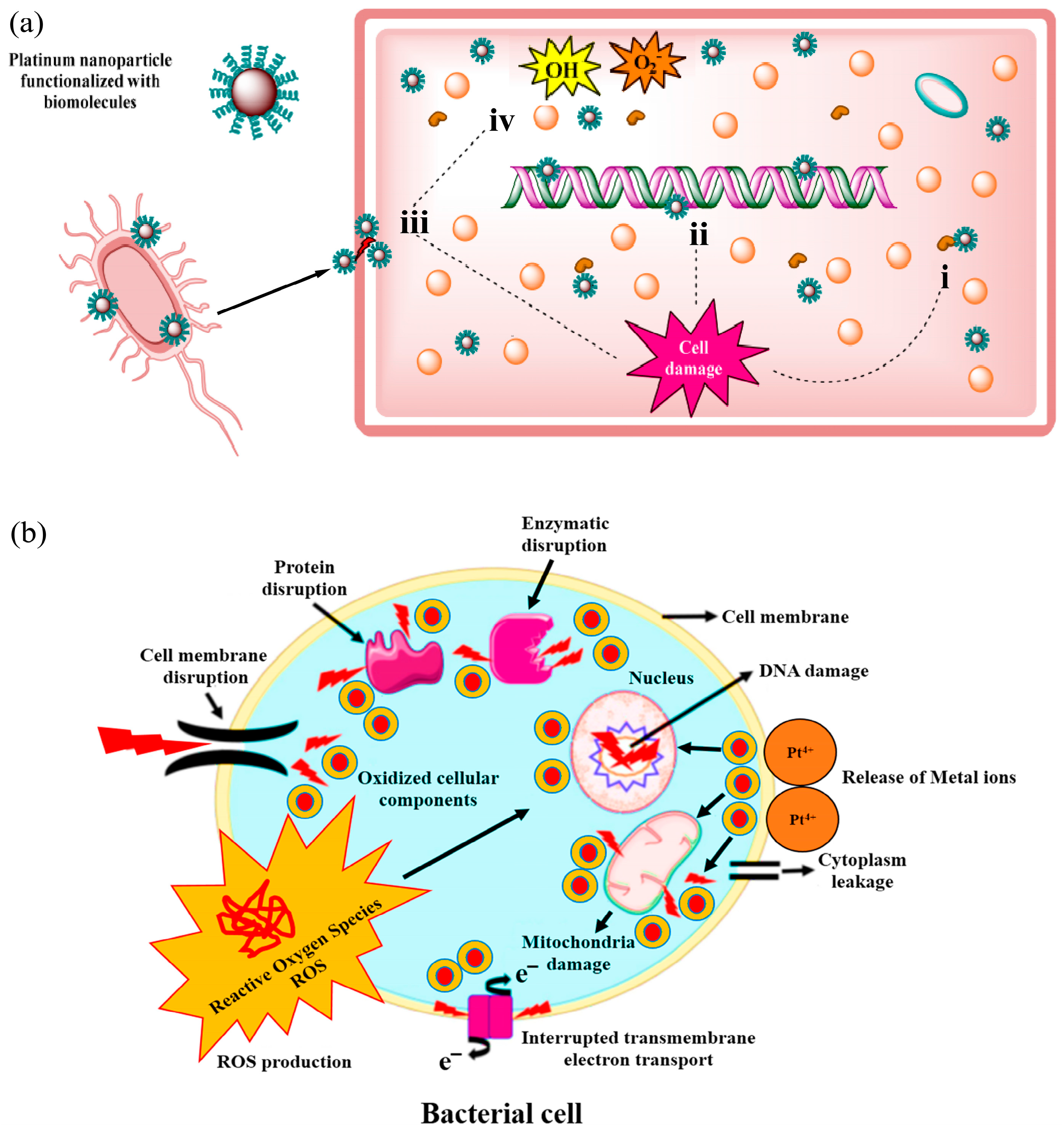 Nanomaterials 14 01303 g006 Nanomaterials 14 01303 g006