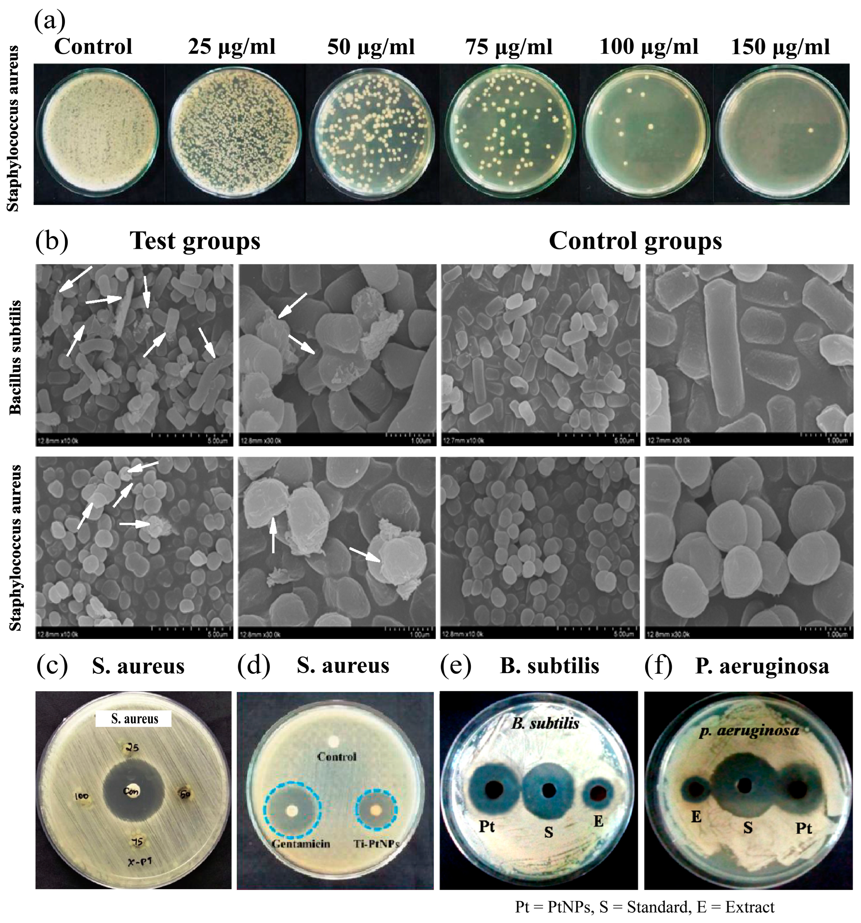Nanomaterials 14 01303 g007 Nanomaterials 14 01303 g007