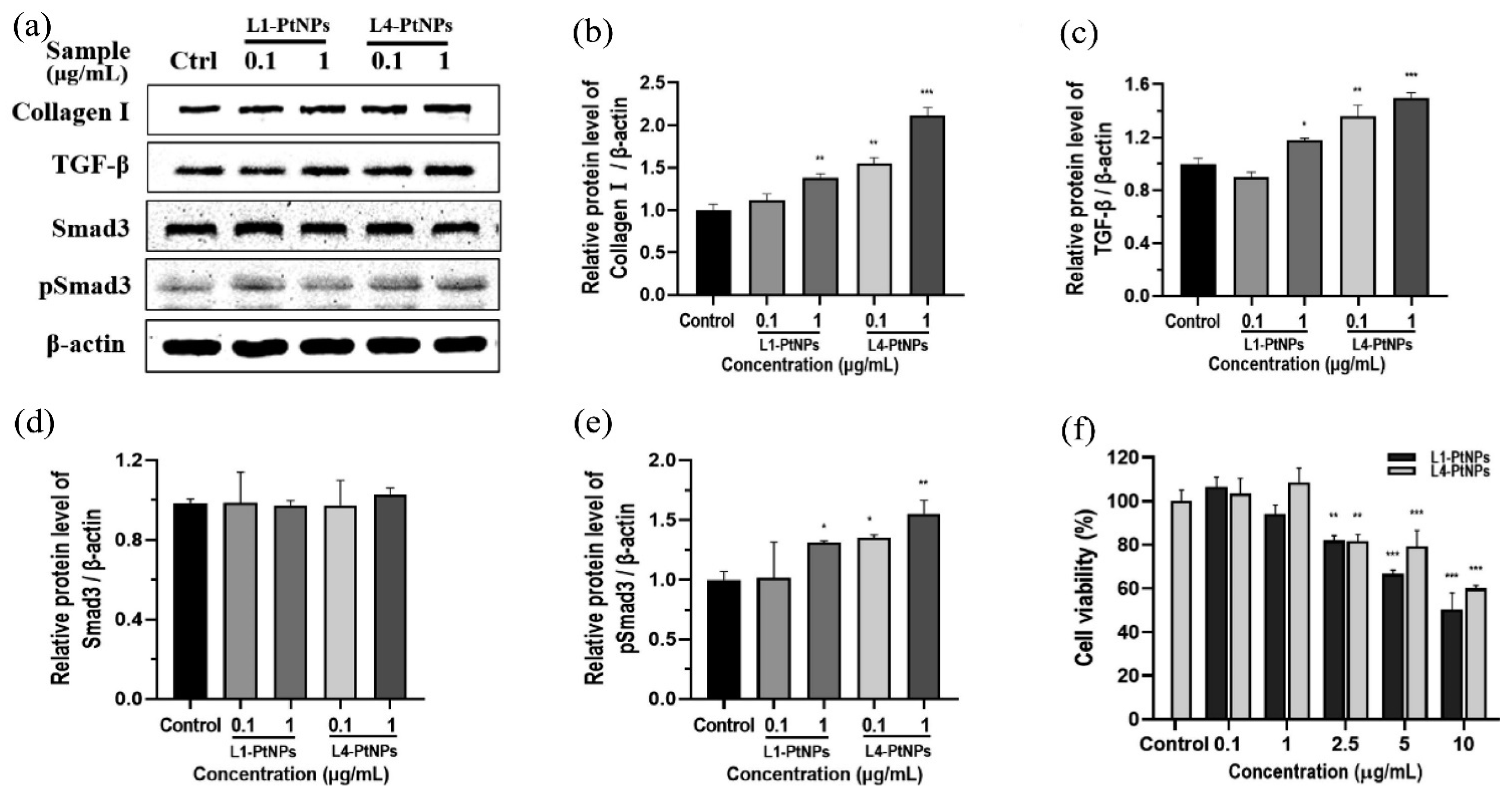 Nanomaterials 14 01303 g008 Nanomaterials 14 01303 g008