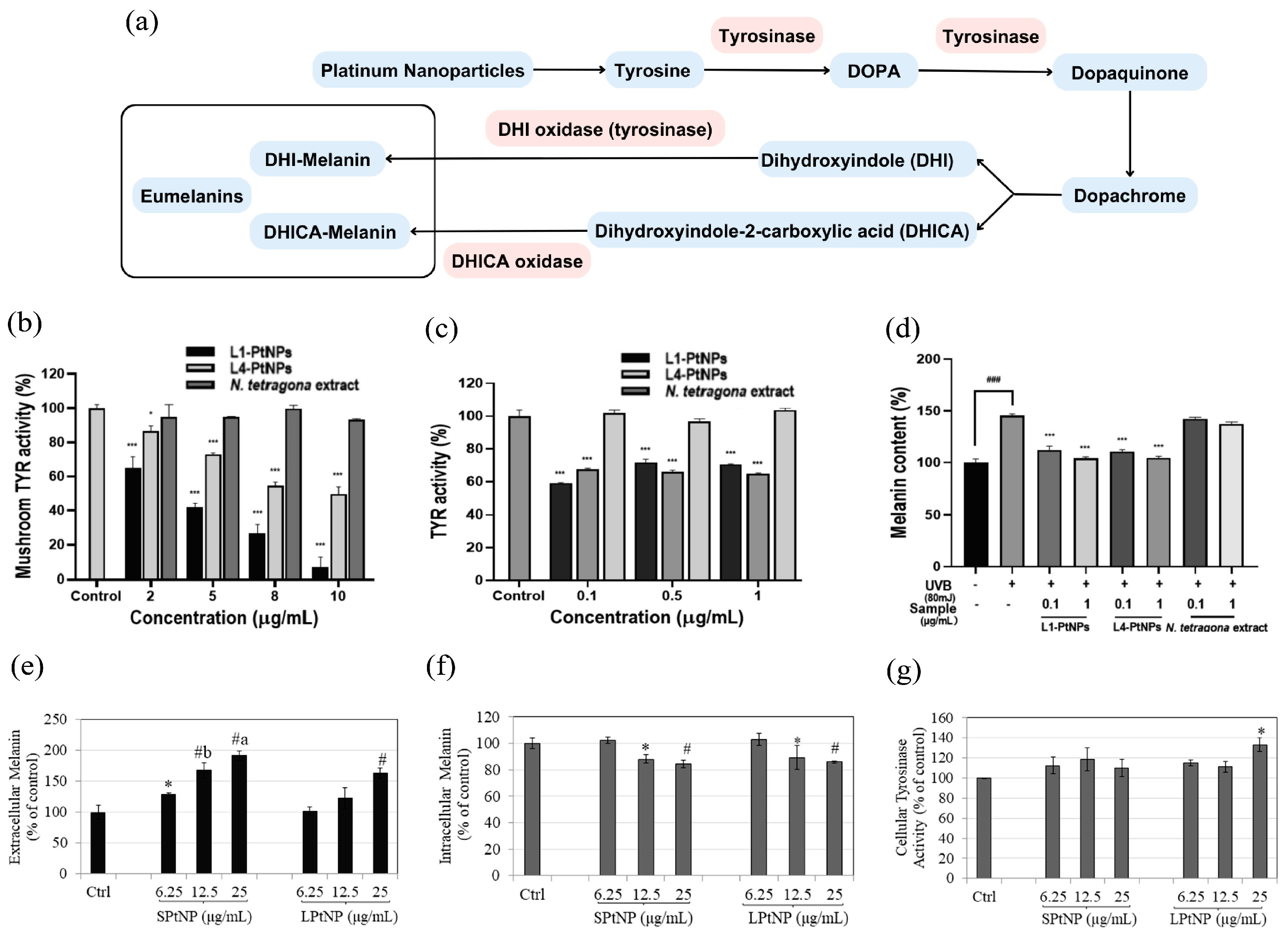 Nanomaterials 14 01303 g010 Nanomaterials 14 01303 g010