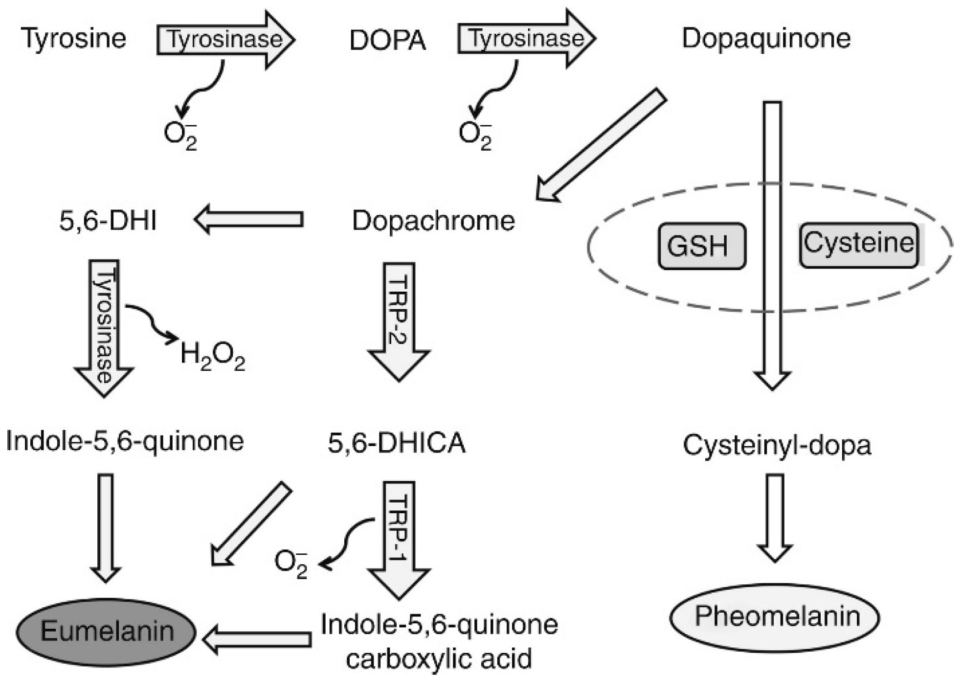 Nanomaterials 14 01303 g011 Nanomaterials 14 01303 g011