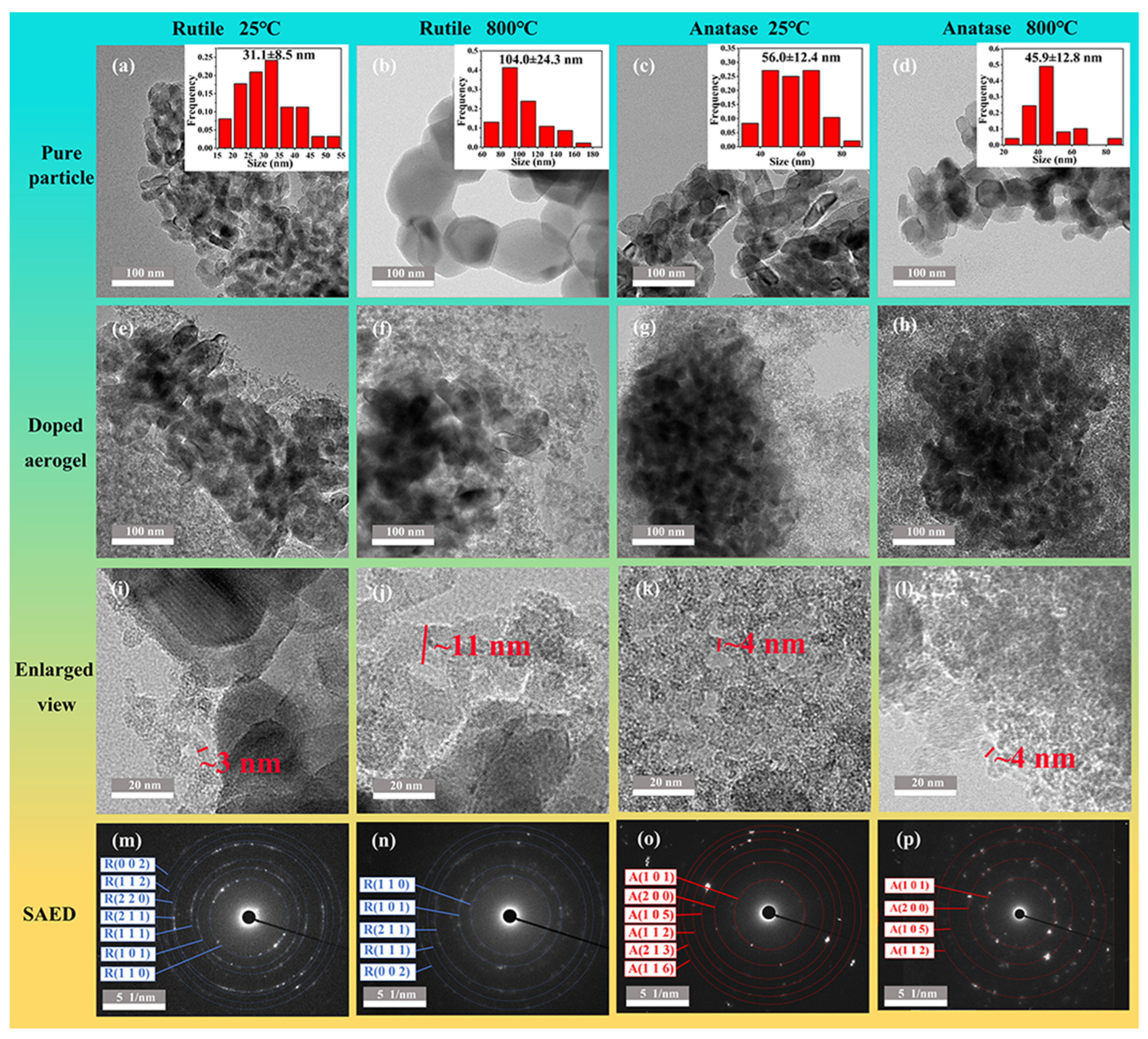 Nanomaterials 14 01304 g005
