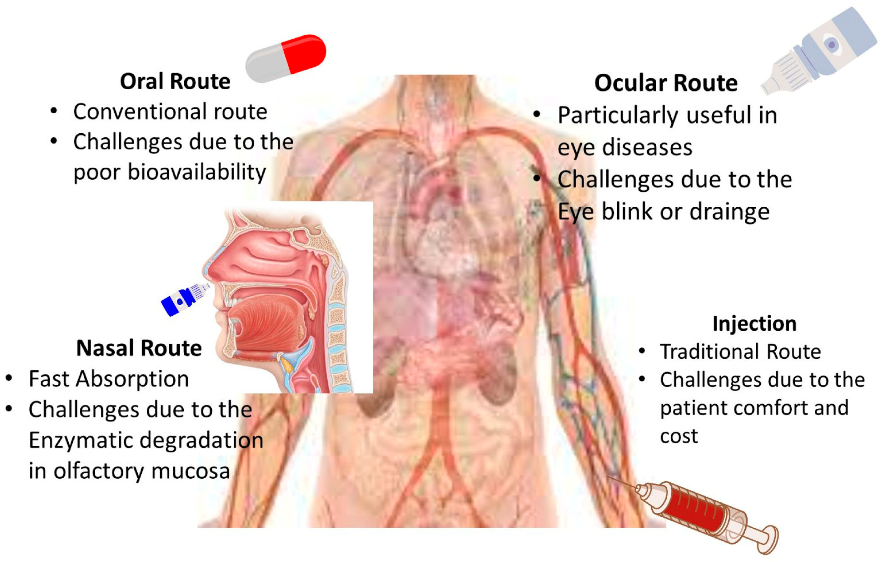 Nanomaterials 14 01305 g003 Nanomaterials 14 01305 g003