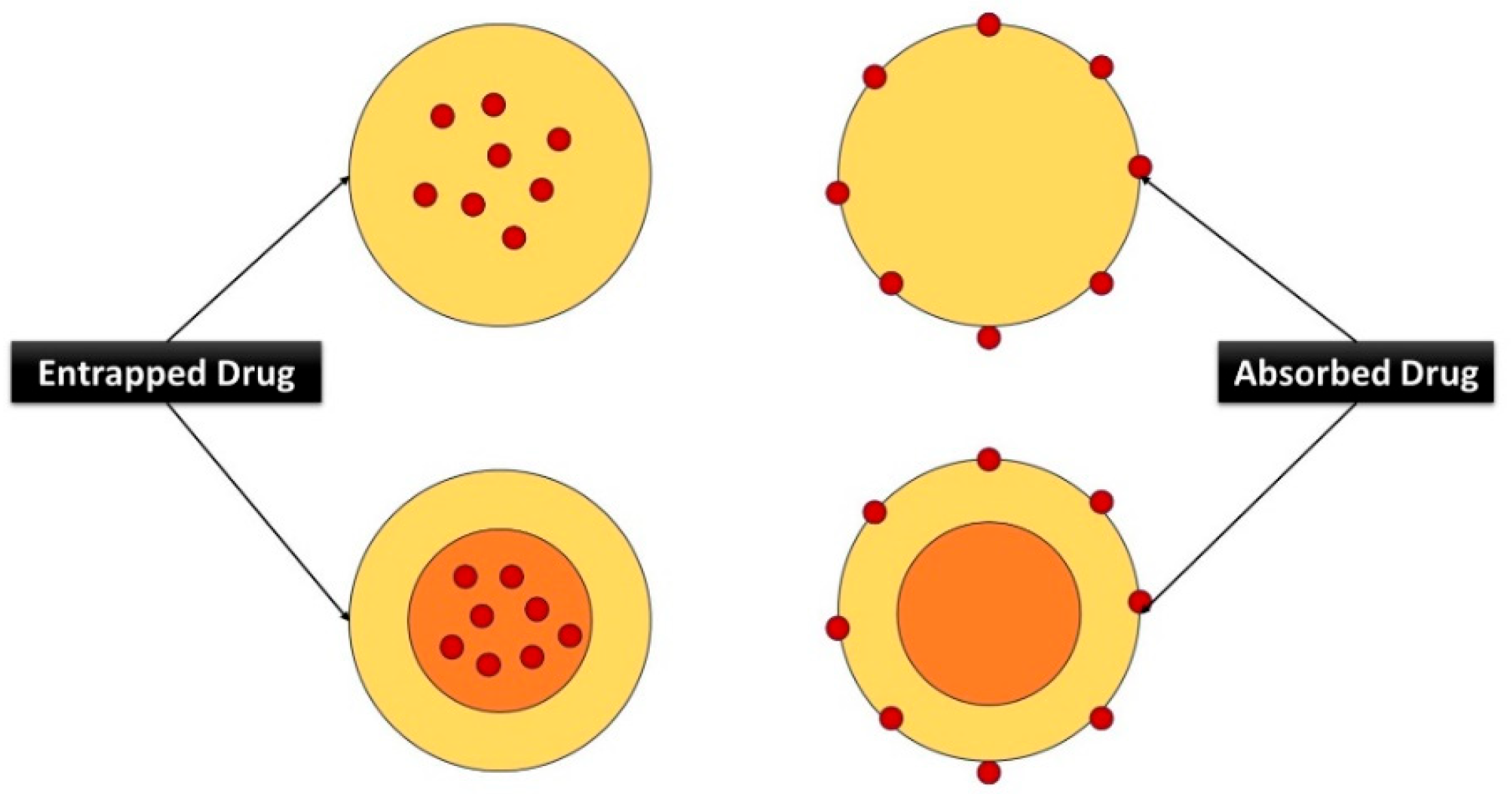 Nanomaterials 14 01305 g007 Nanomaterials 14 01305 g007