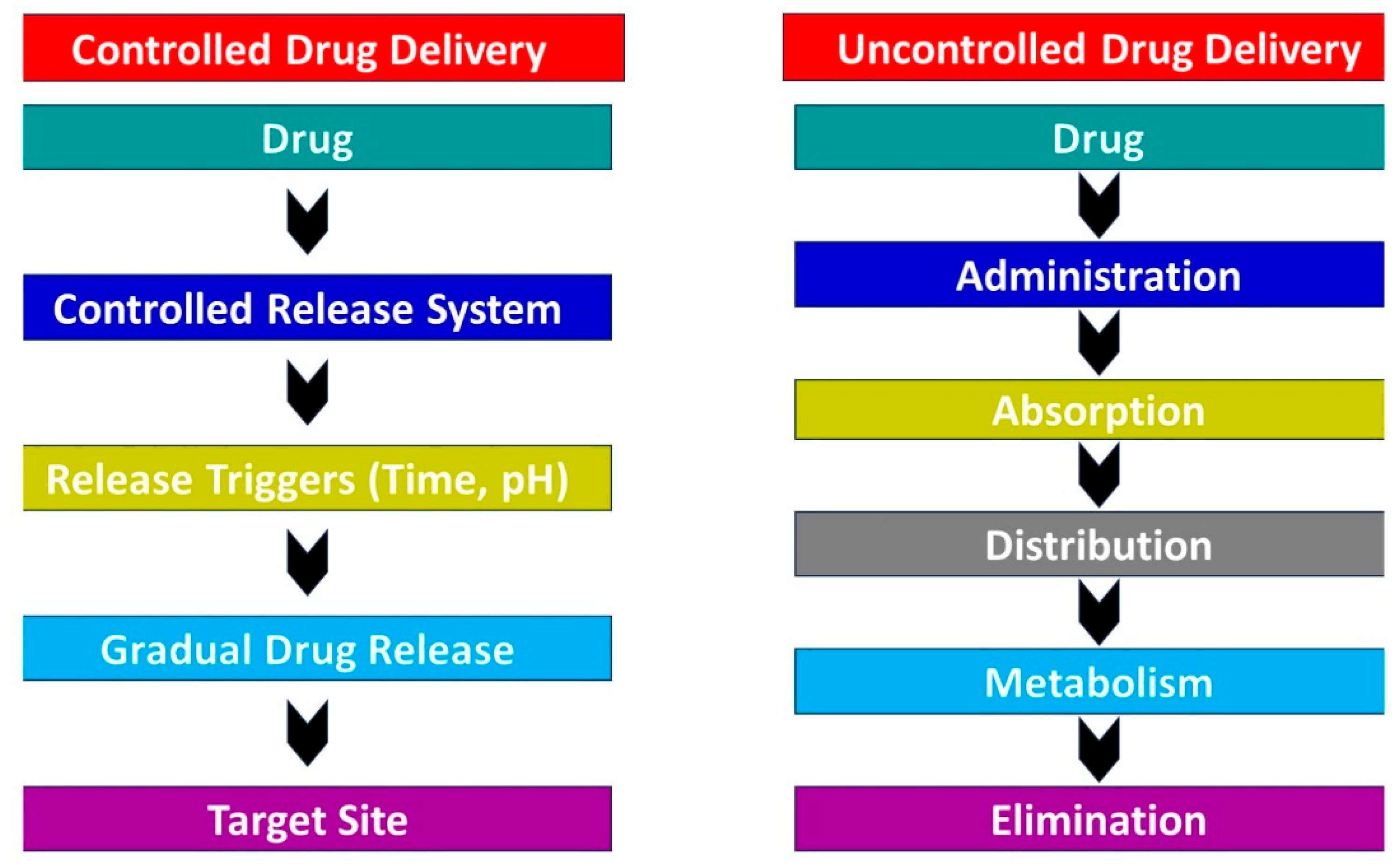 Nanomaterials 14 01305 g008 Nanomaterials 14 01305 g008