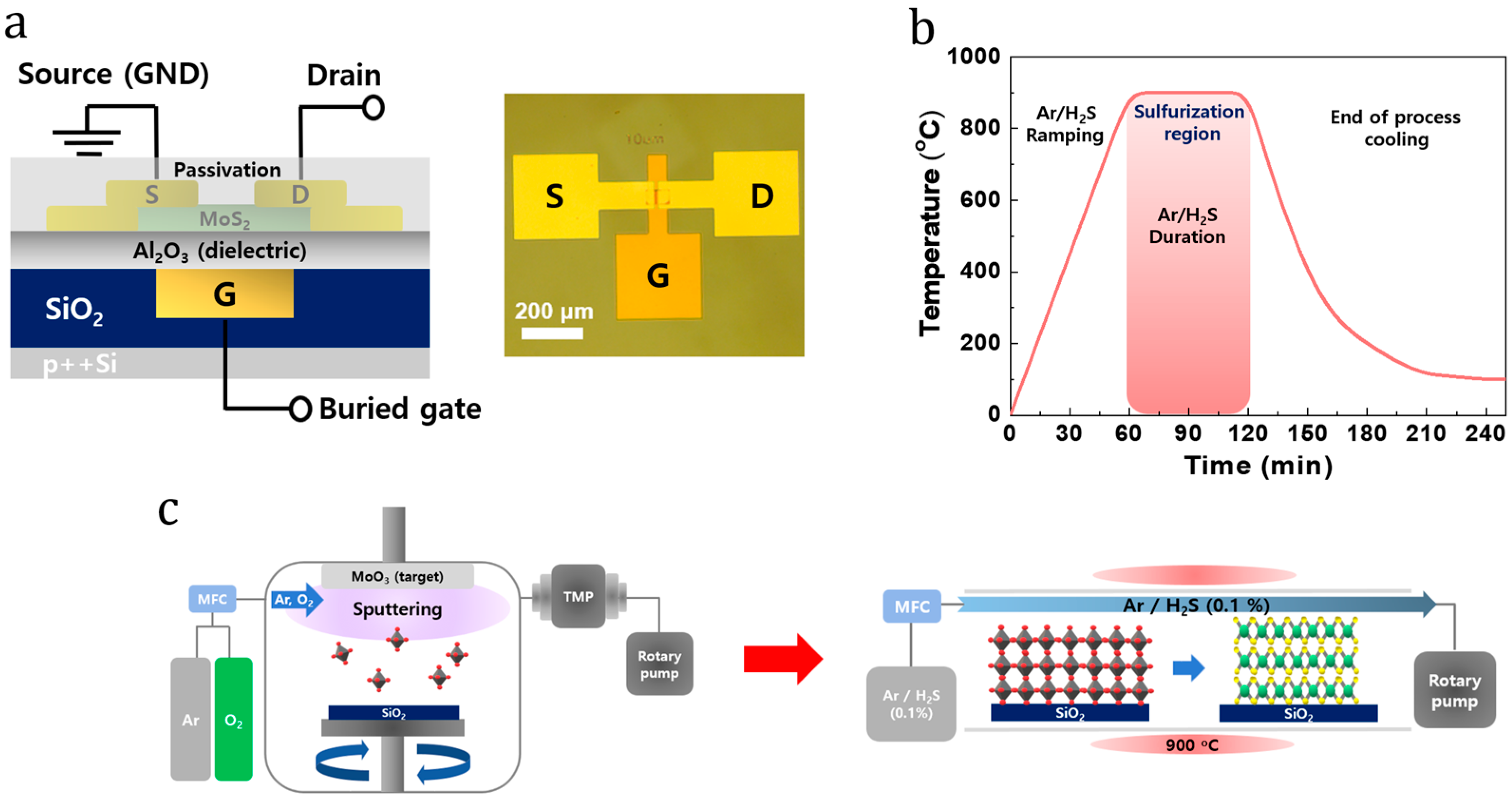 Nanomaterials 14 01324 g001