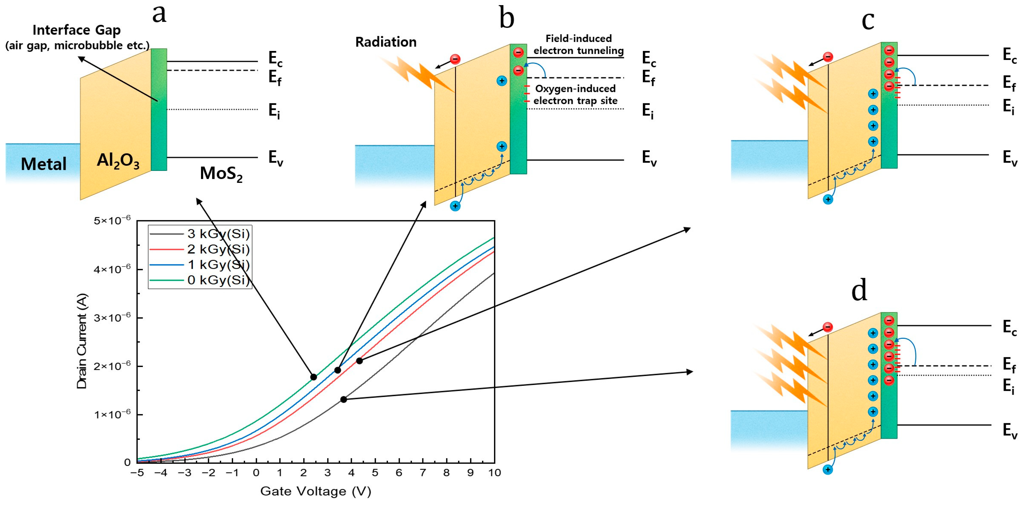 Nanomaterials 14 01324 g004