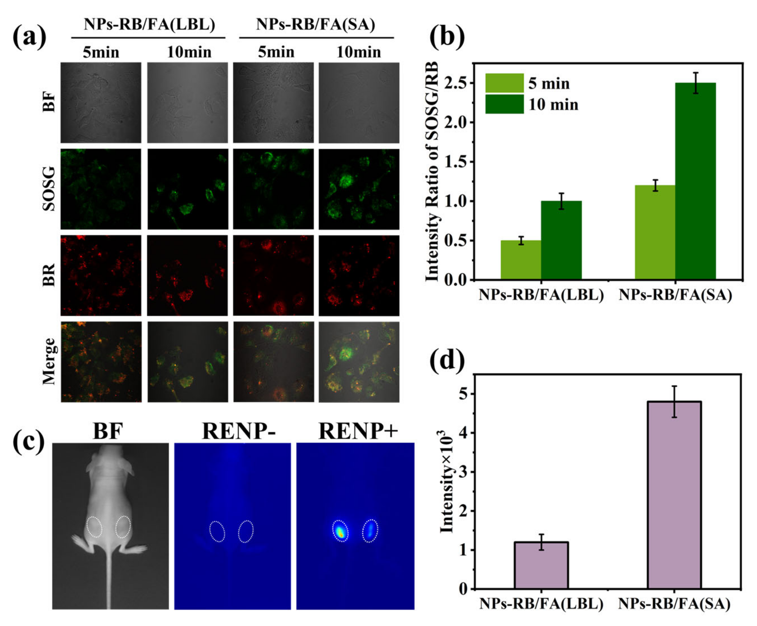 Nanomaterials 14 01326 g008