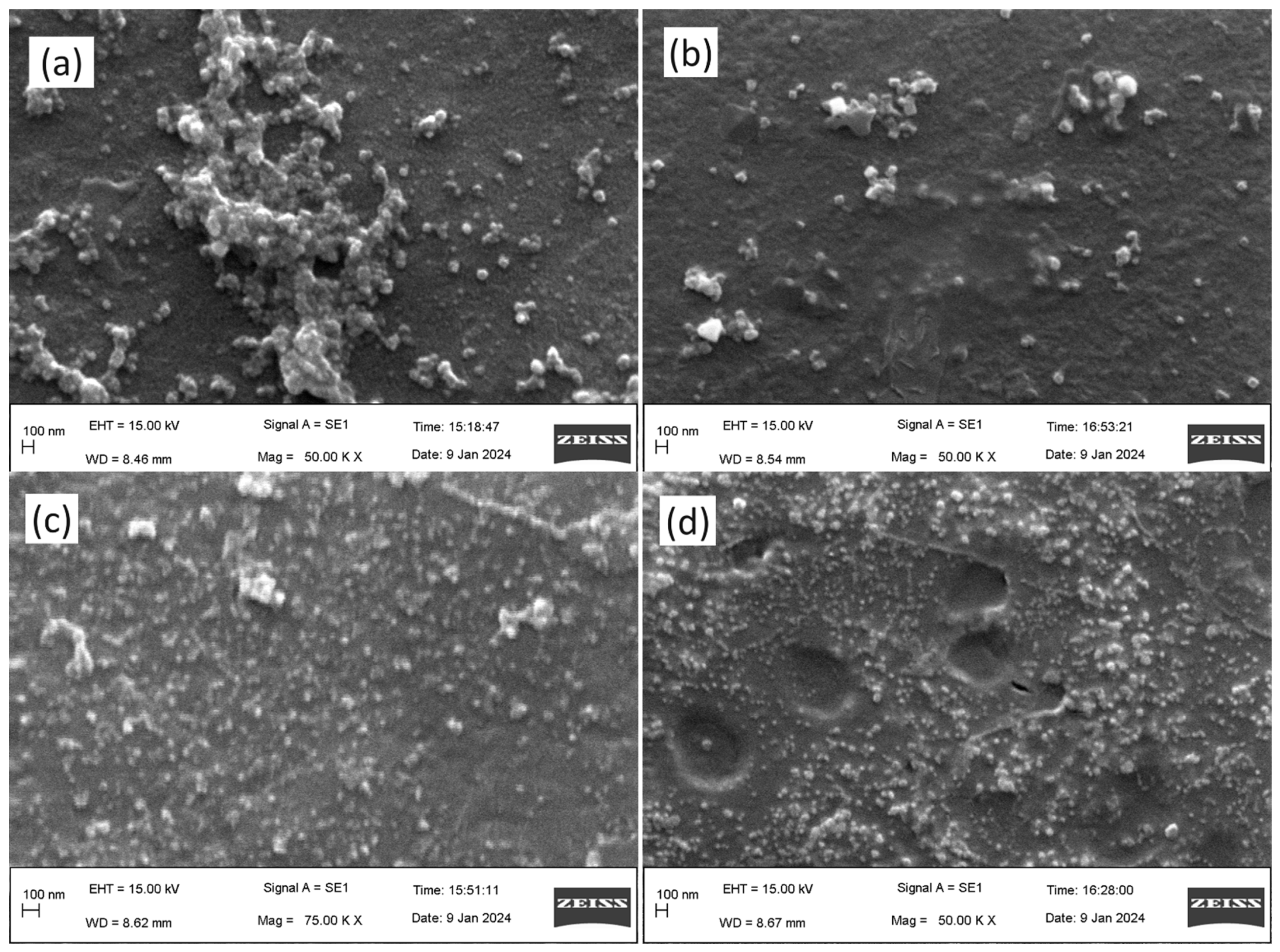 Nanomaterials 14 01327 g004