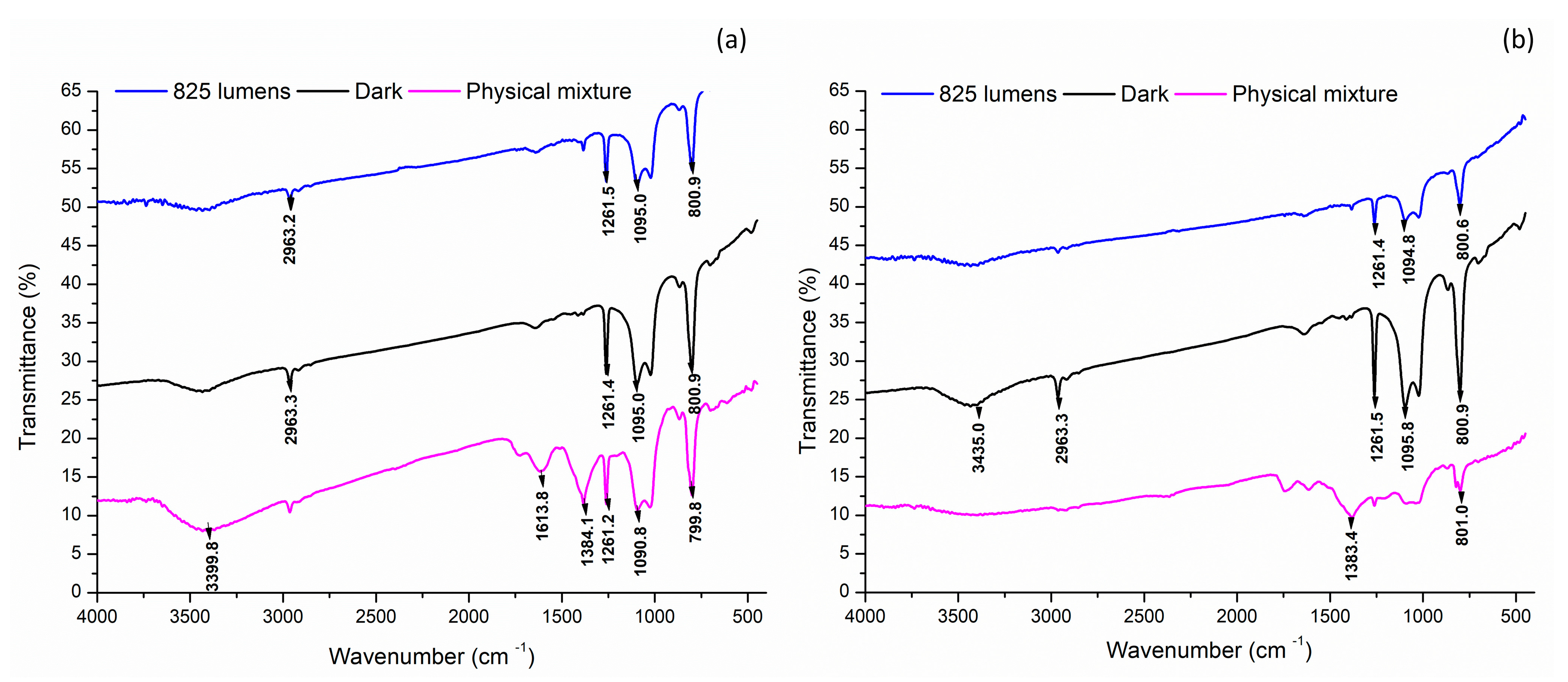 Nanomaterials 14 01327 g006