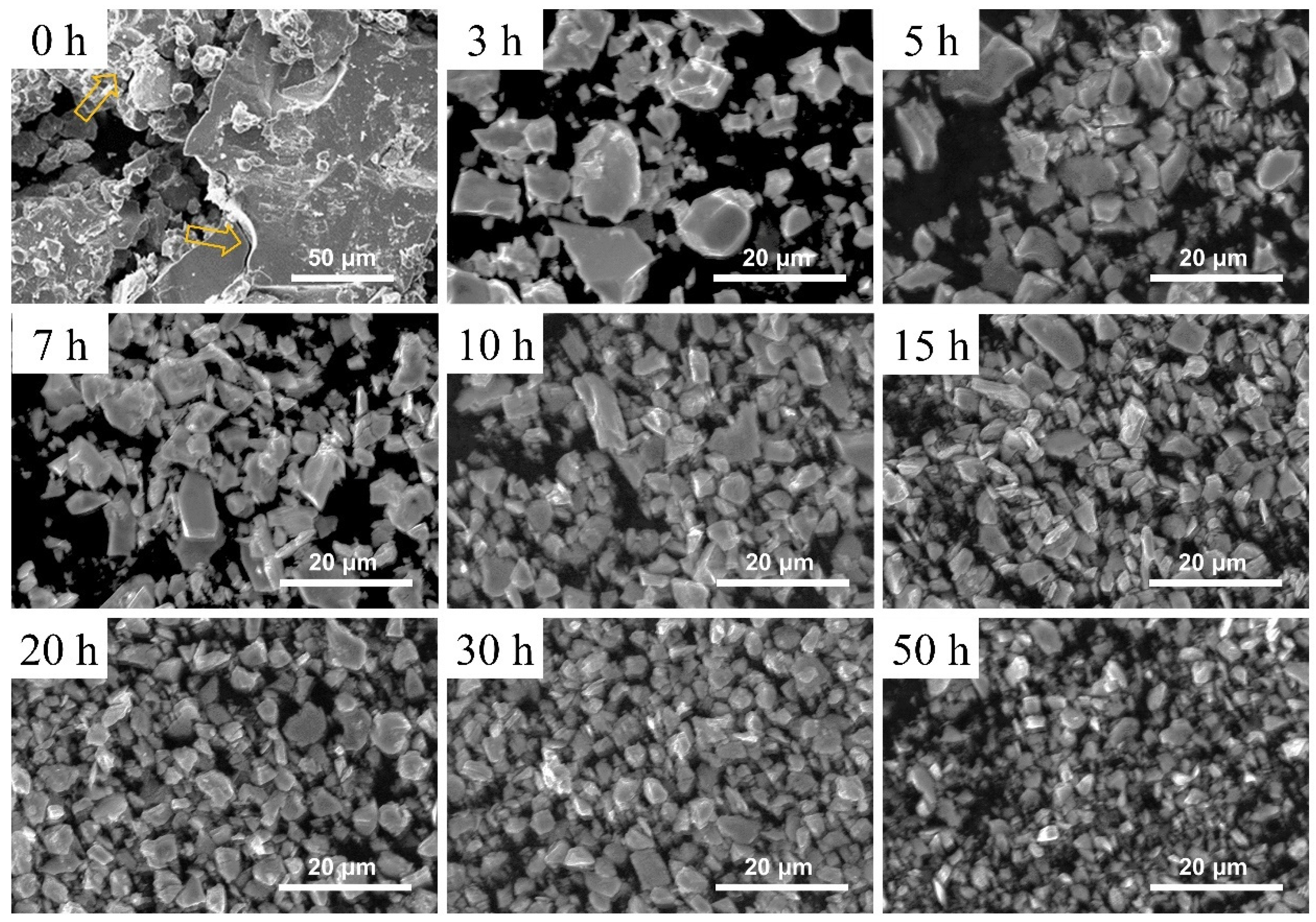 Nanomaterials 14 01329 g001