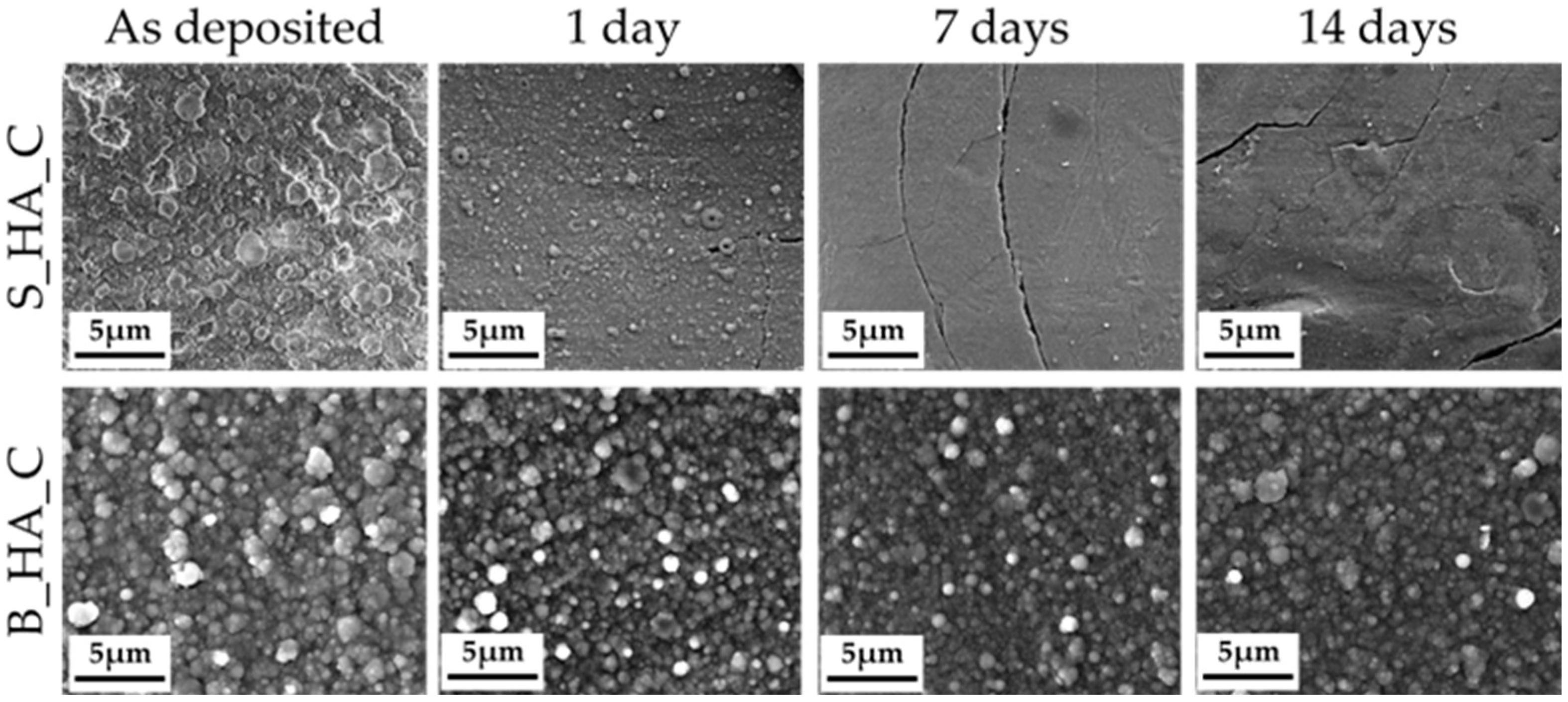 Nanomaterials 14 01332 g006