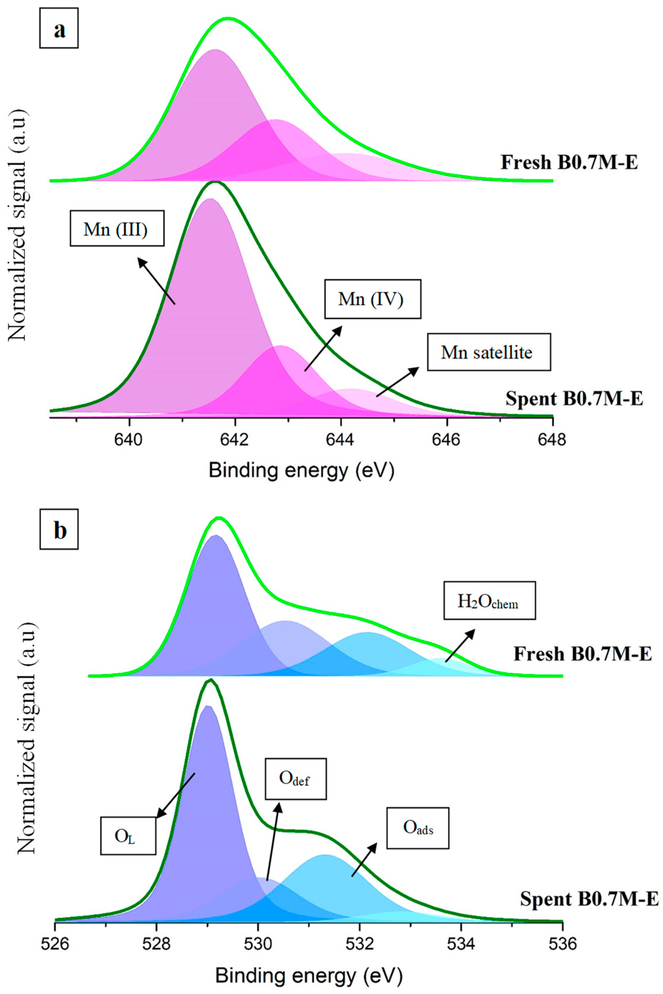 Nanomaterials 14 01334 g008