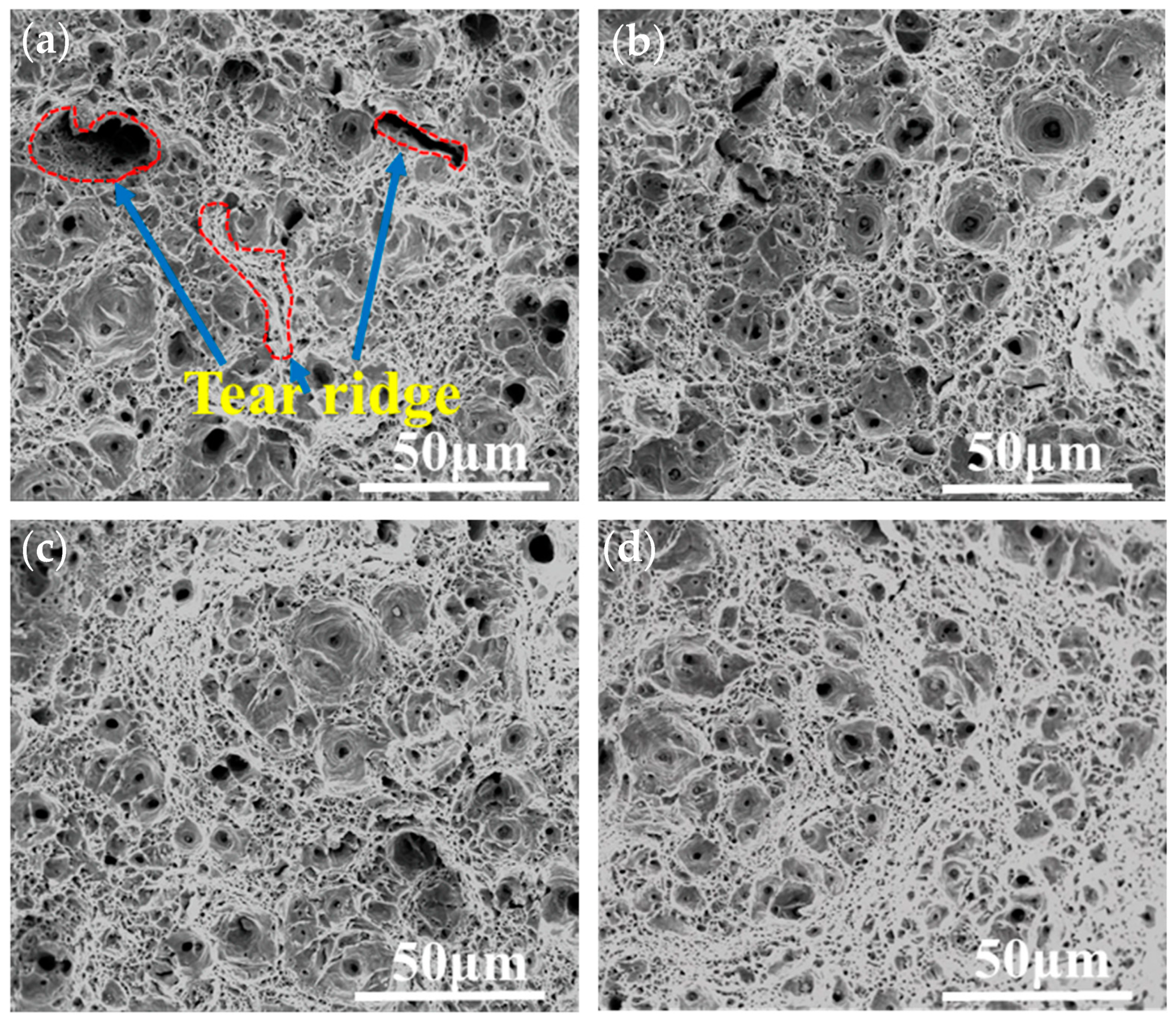 Nanomaterials 14 01335 g010