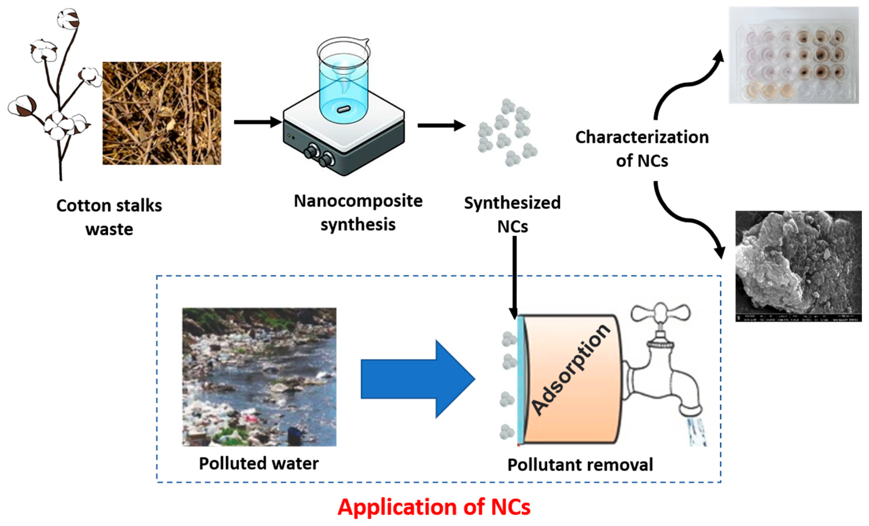 Nanomaterials 14 01339 g001