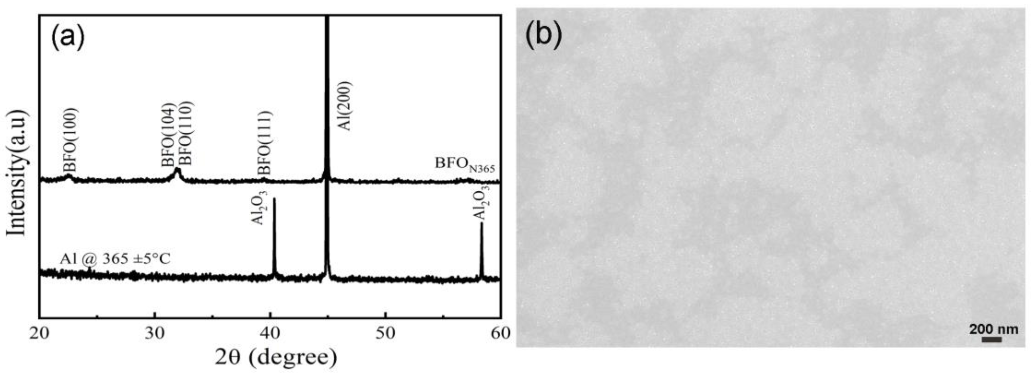 Nanomaterials 14 01343 g006