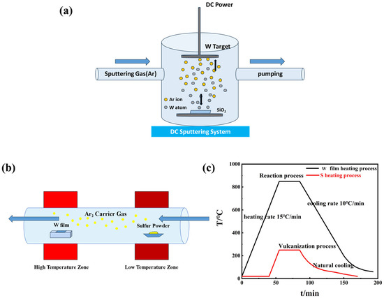 Y  Construction and characterization of highly stretchable