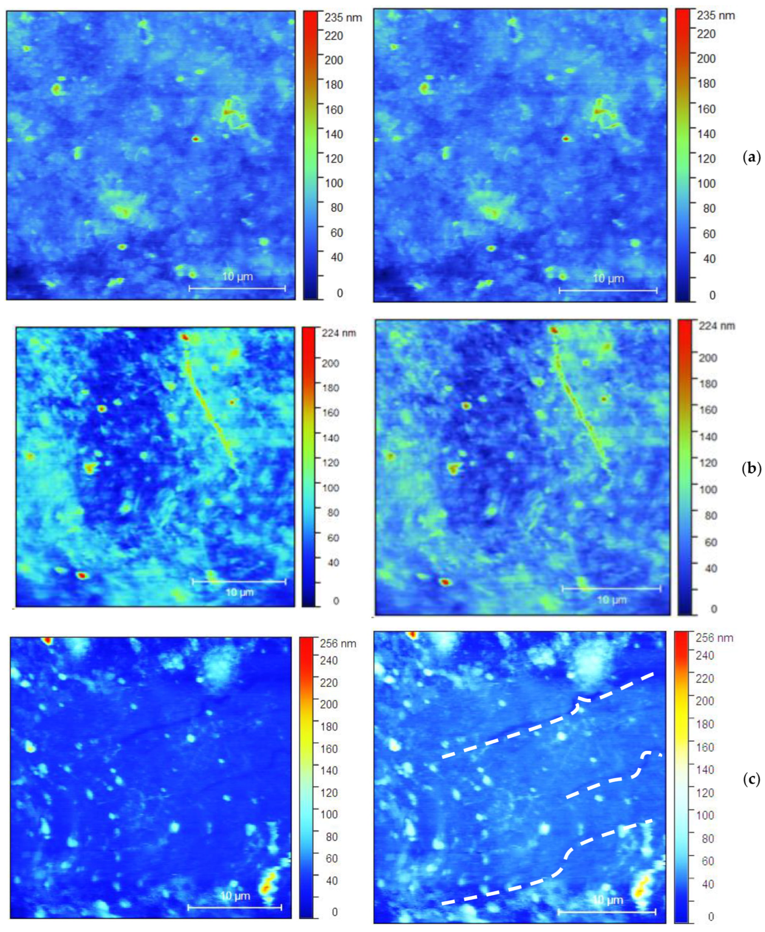 Nanomaterials 14 01357 g008a