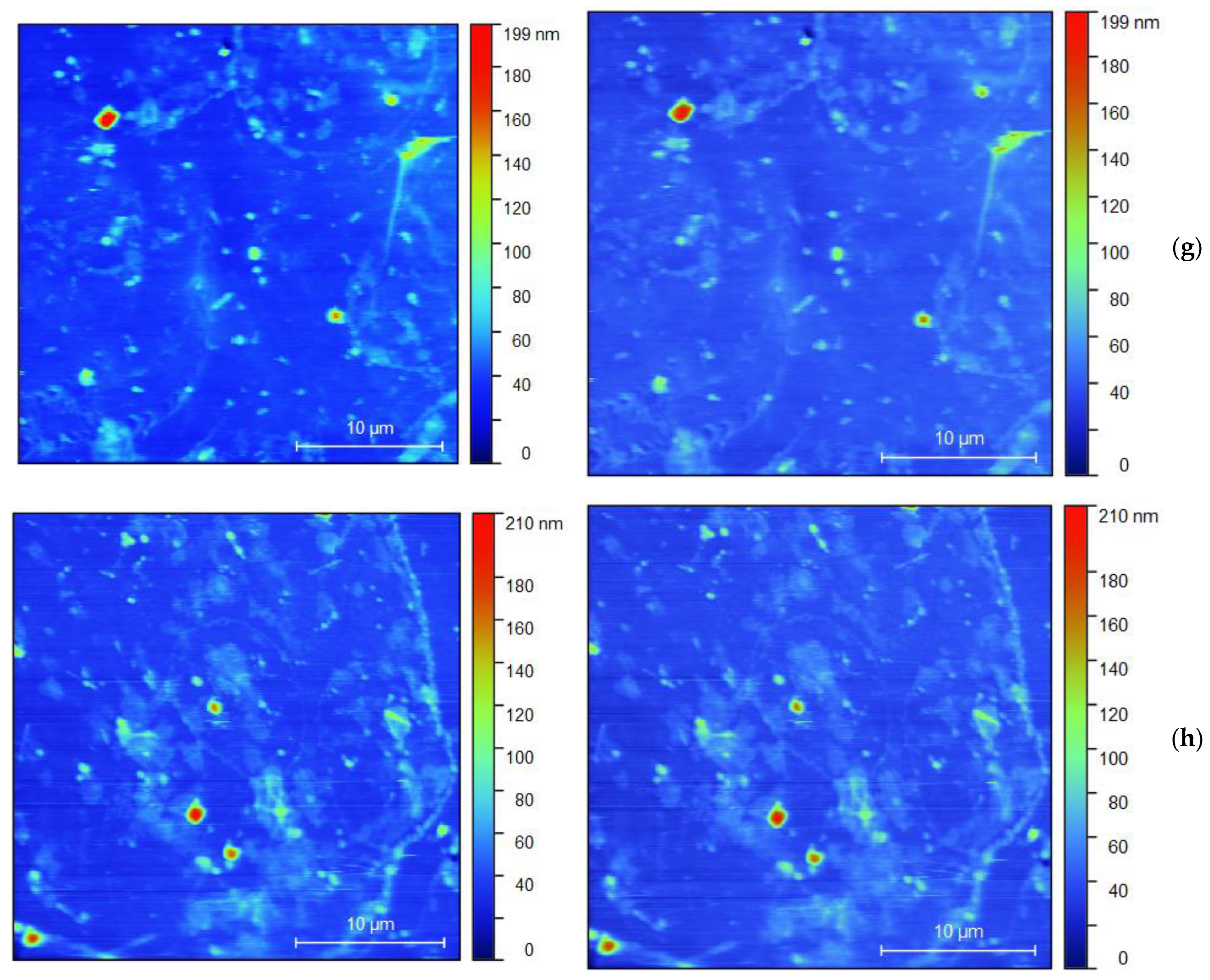 Nanomaterials 14 01357 g008c