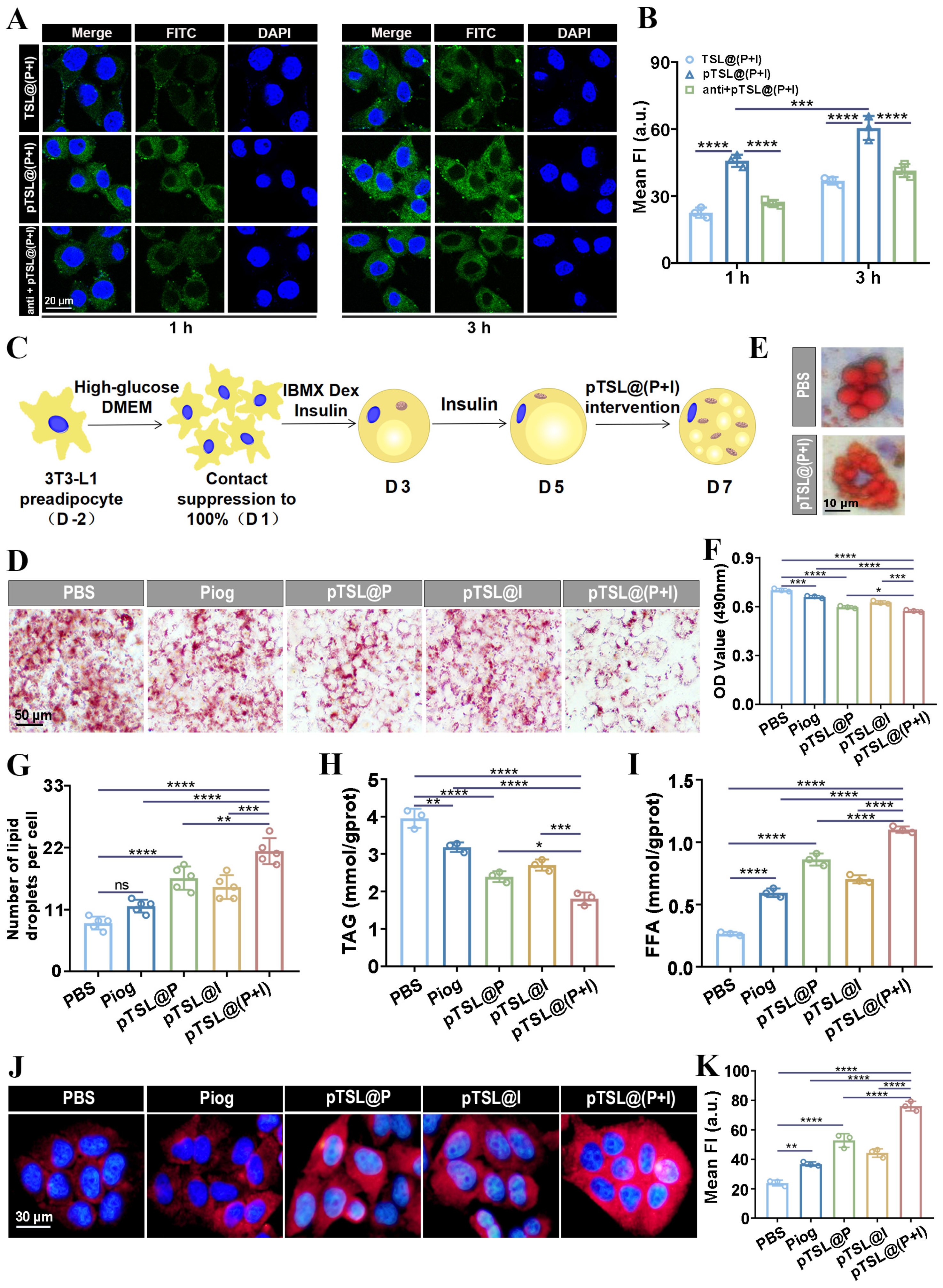 Nanomaterials 14 01363 g002