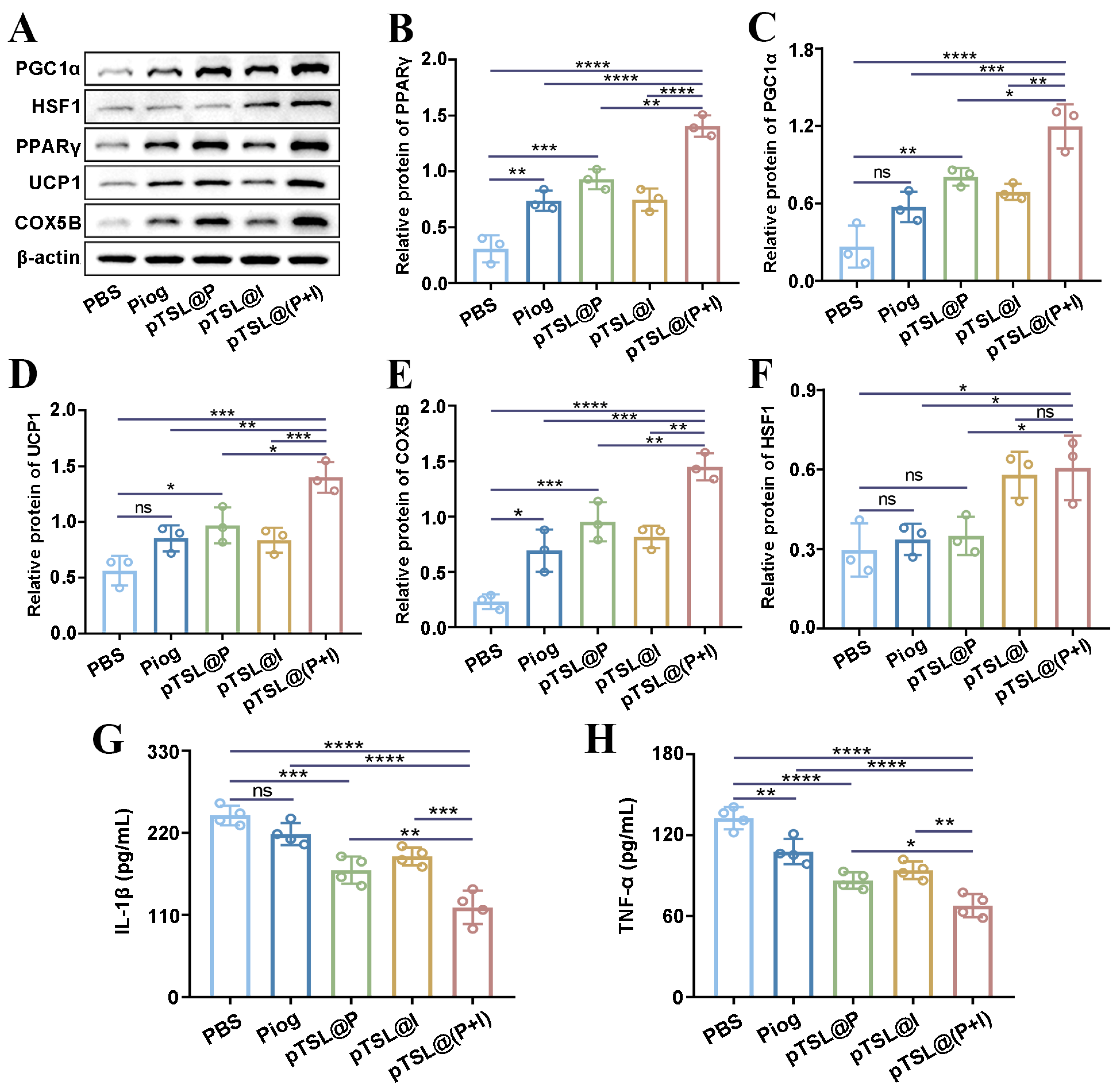 Nanomaterials 14 01363 g003