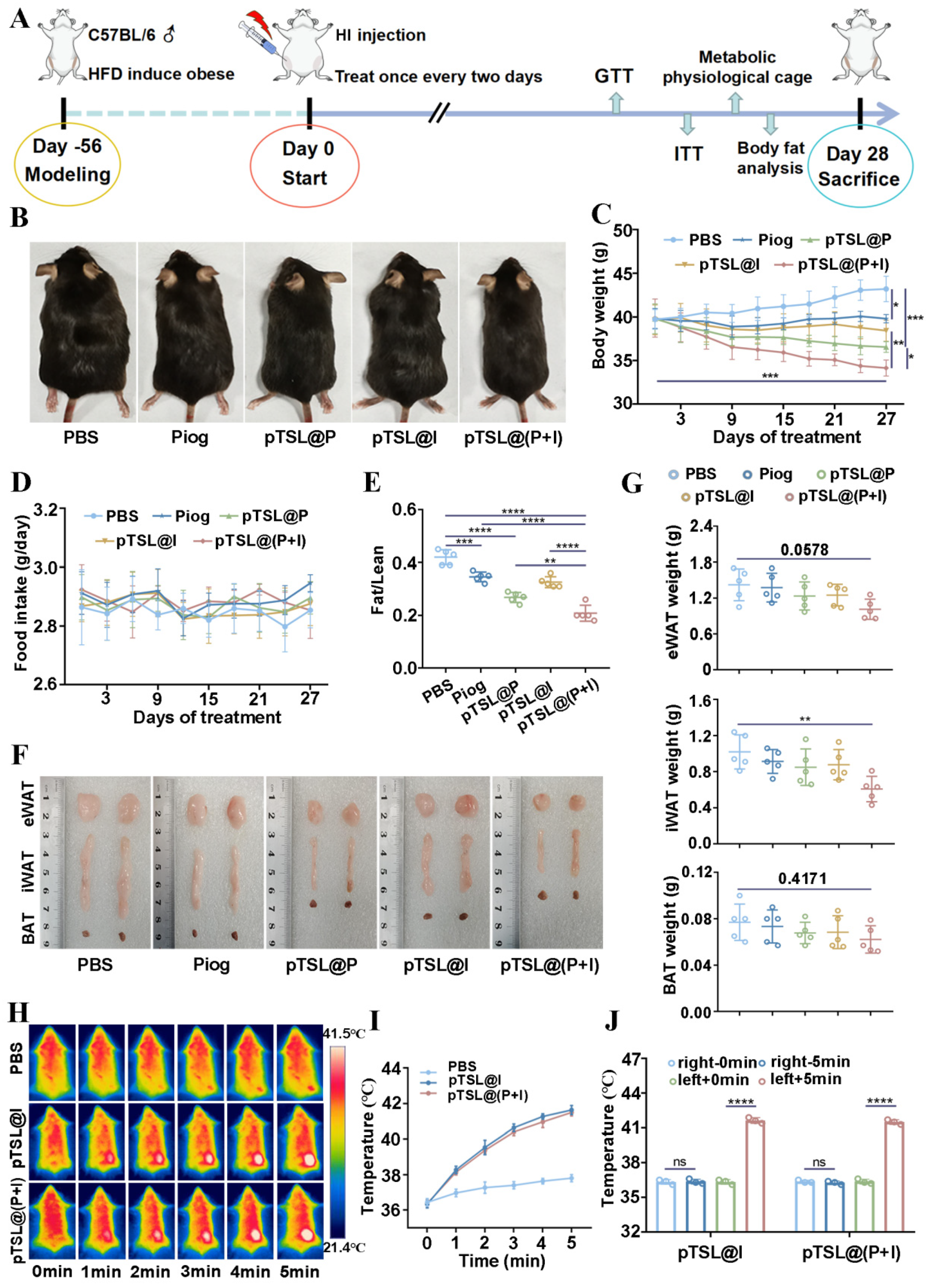 Nanomaterials 14 01363 g004