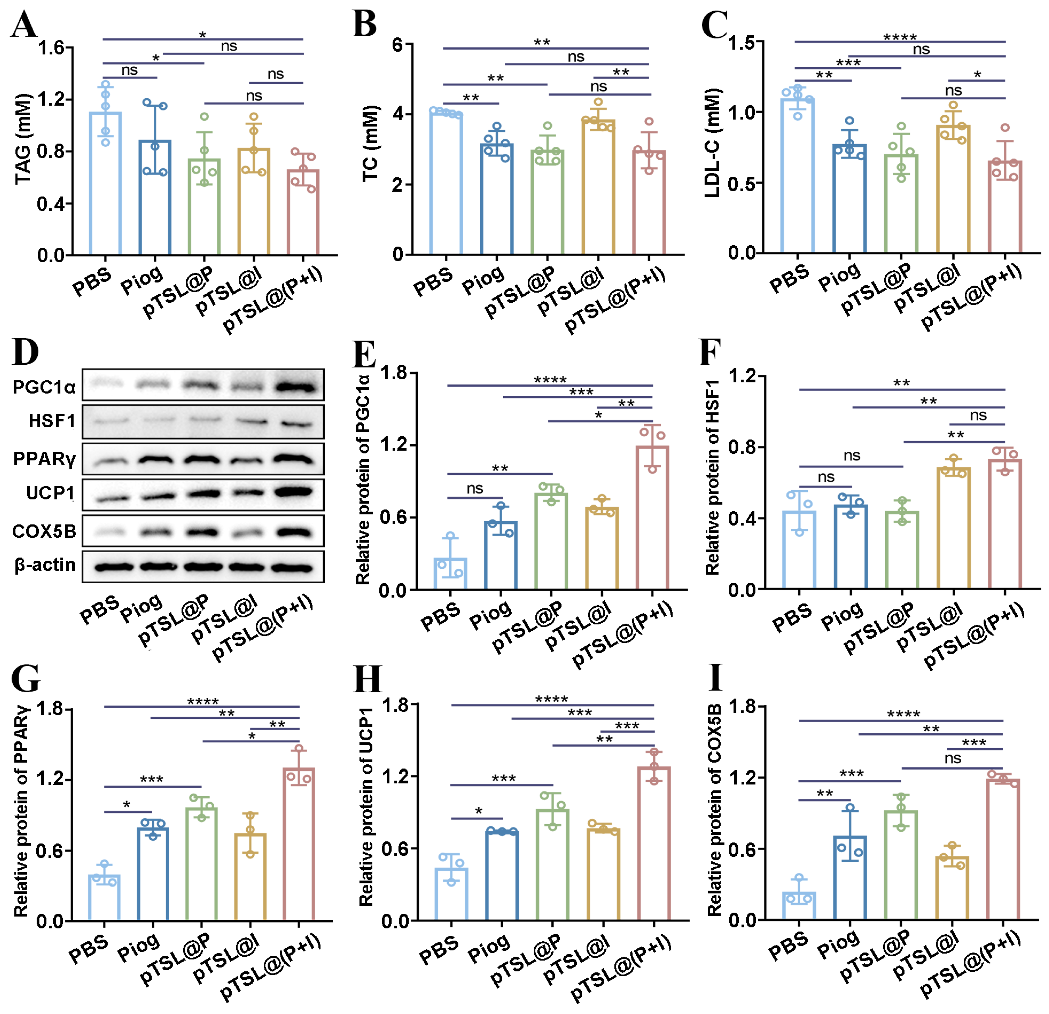Nanomaterials 14 01363 g006