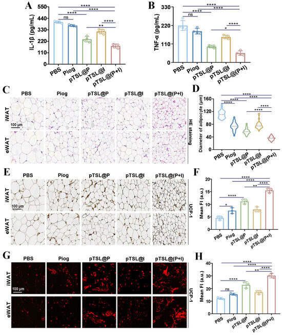 Adipocyte-Targeted Nanocomplex with Synergistic Photothermal