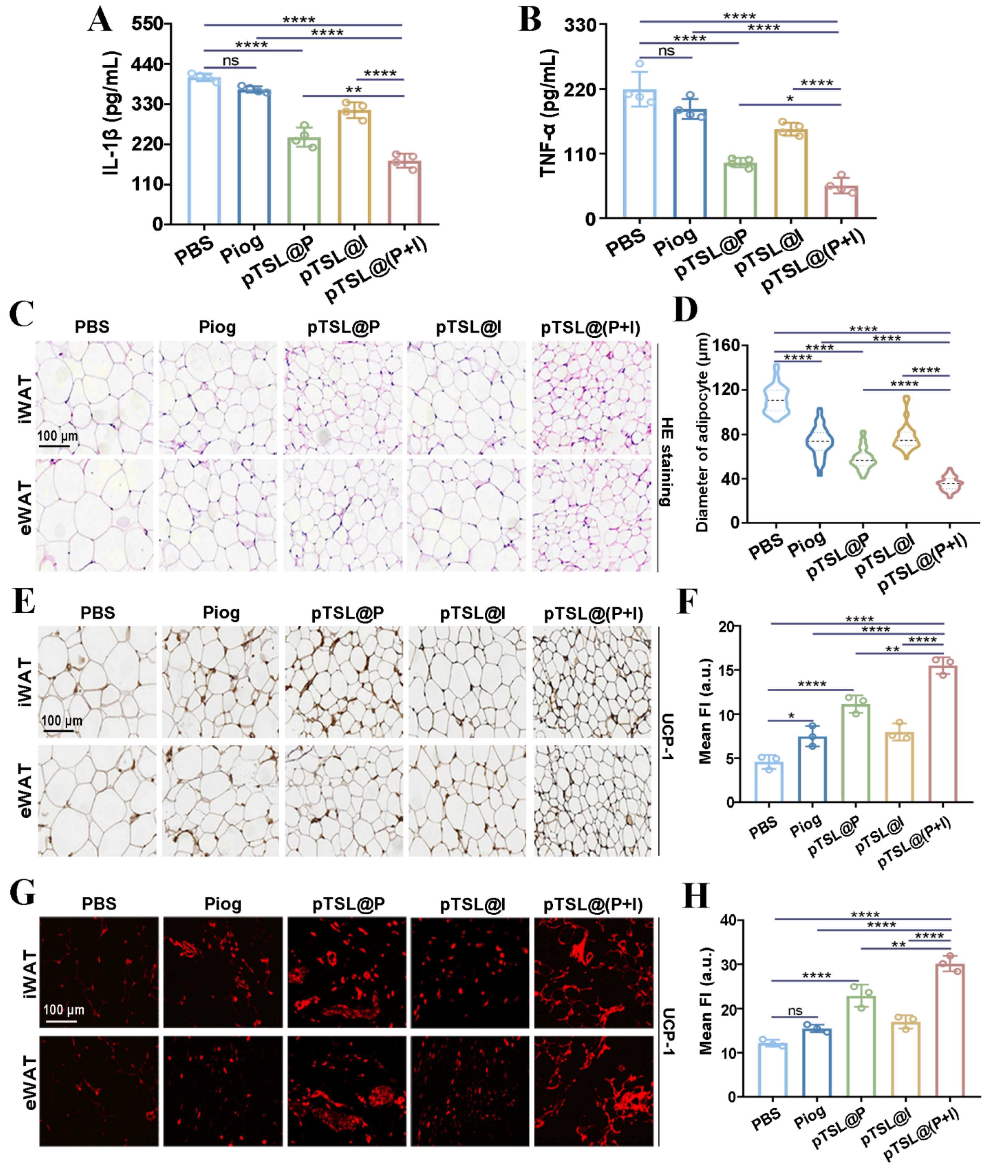 Nanomaterials 14 01363 g007