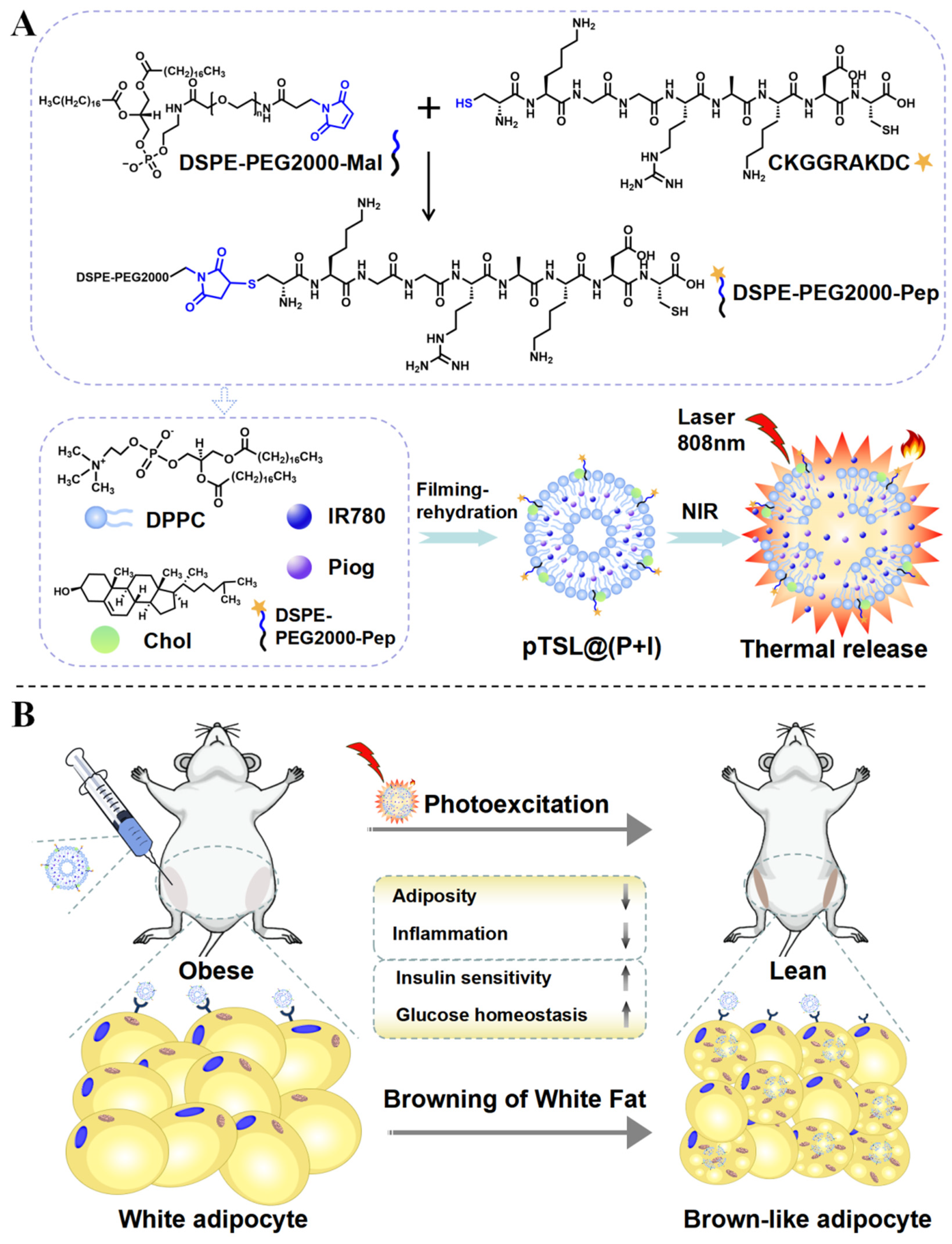 Nanomaterials 14 01363 sch001