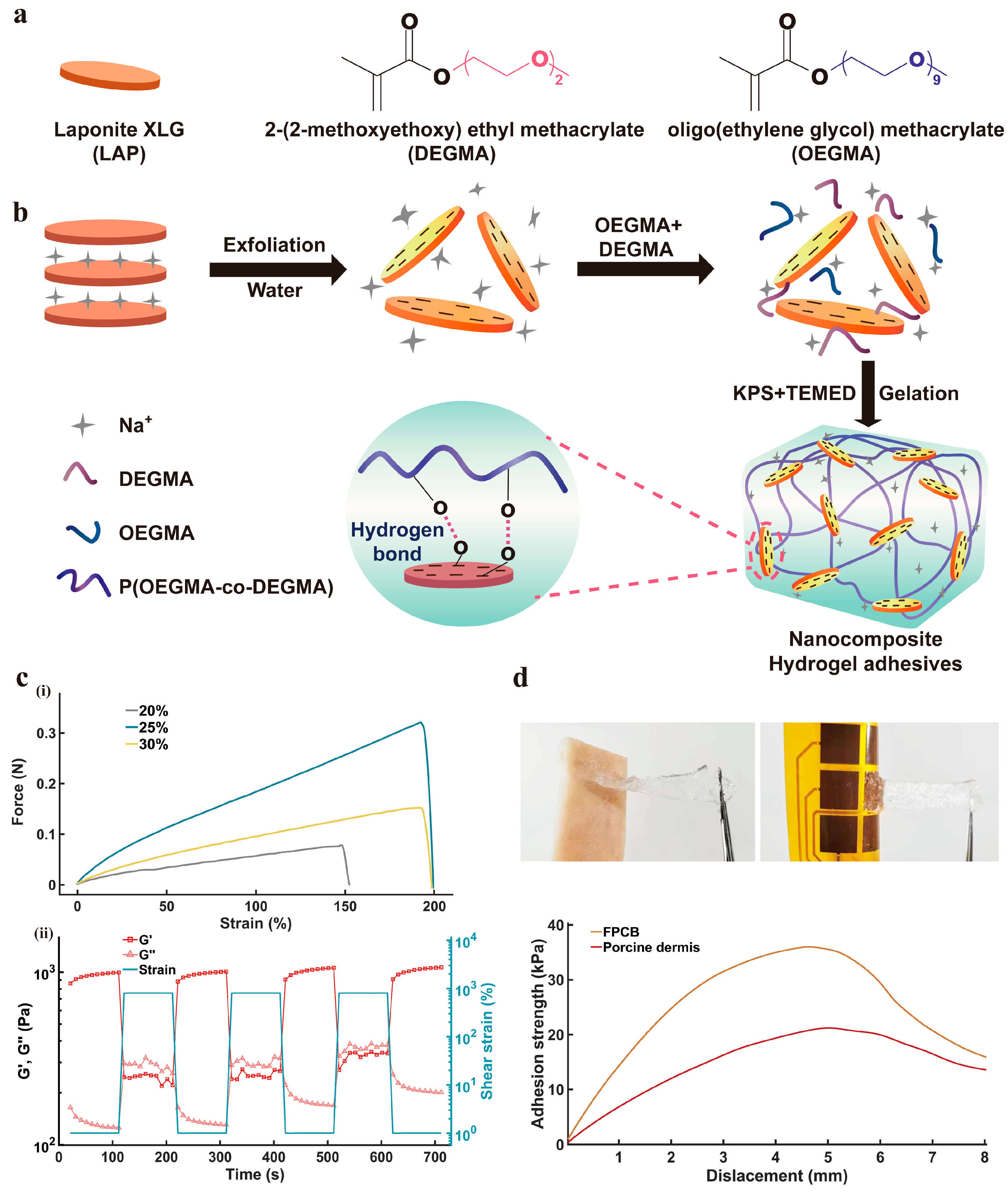 Nanomaterials 14 01365 g002