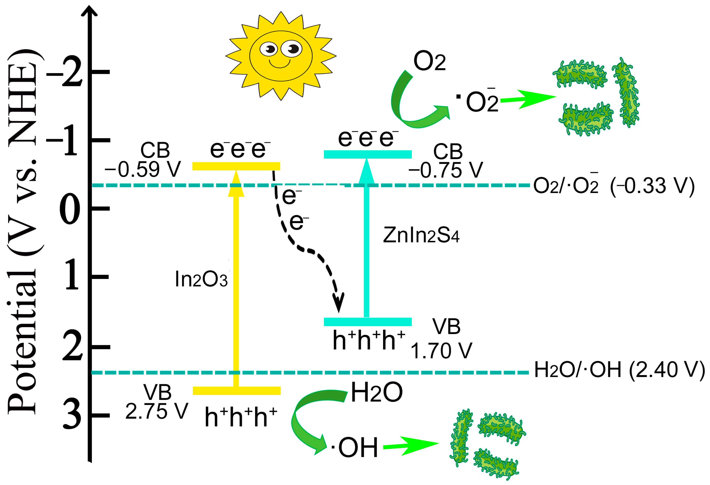 Nanomaterials 14 01366 g009