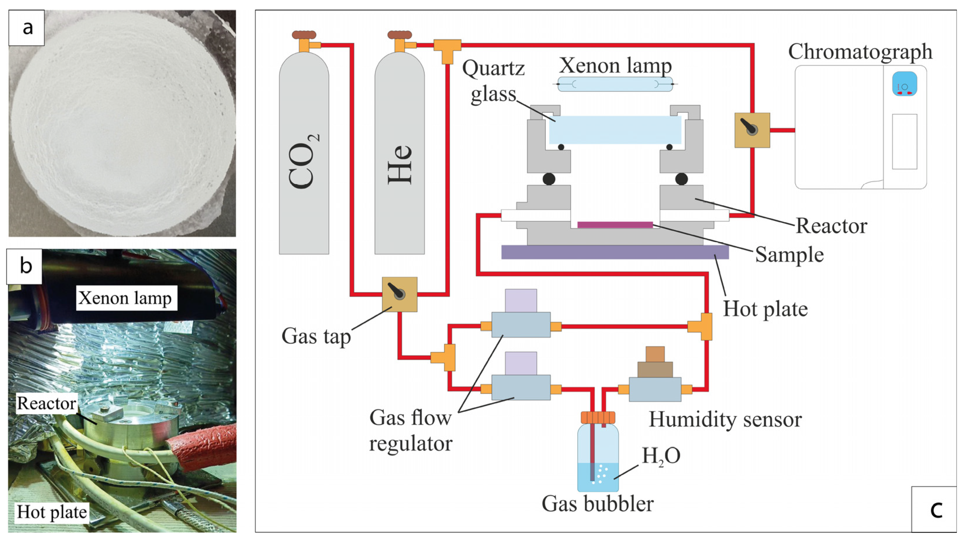 Nanomaterials 14 01370 g001